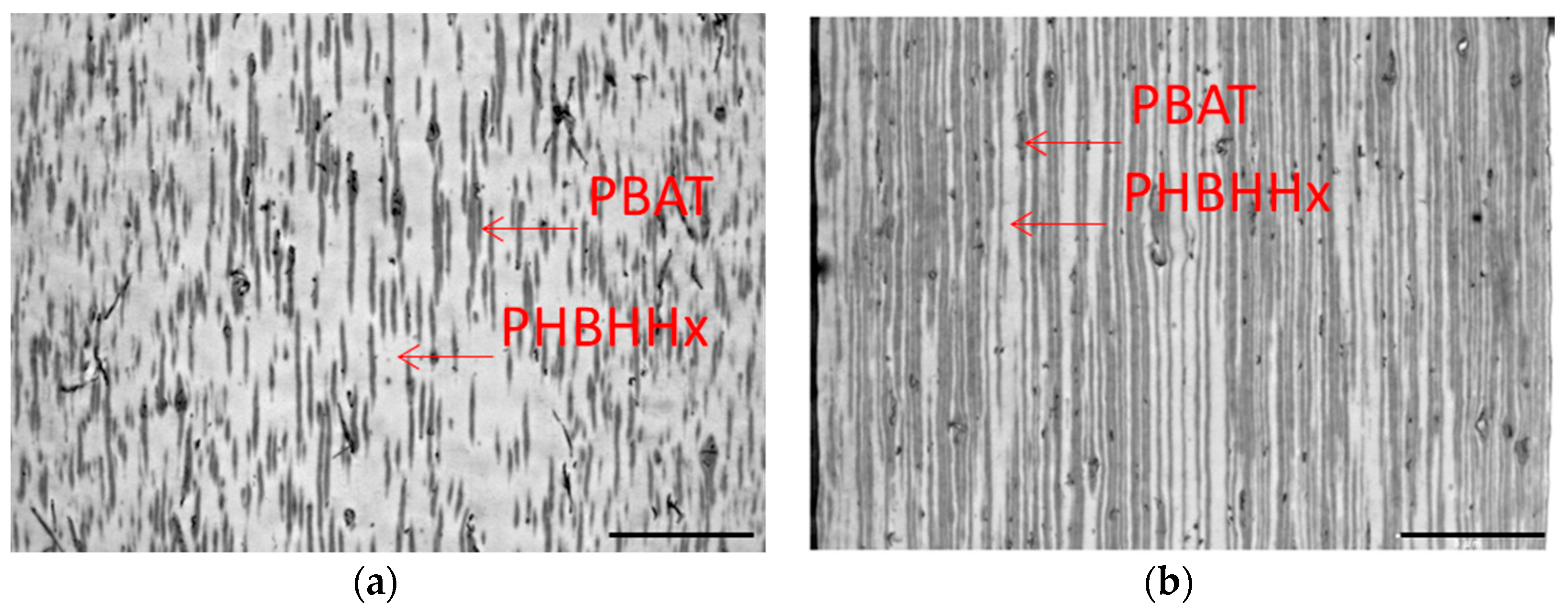 Marinedrugs 16 00034 g005 550