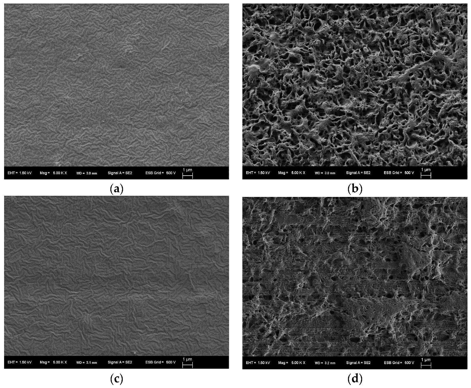 Marinedrugs 16 00034 g006 550