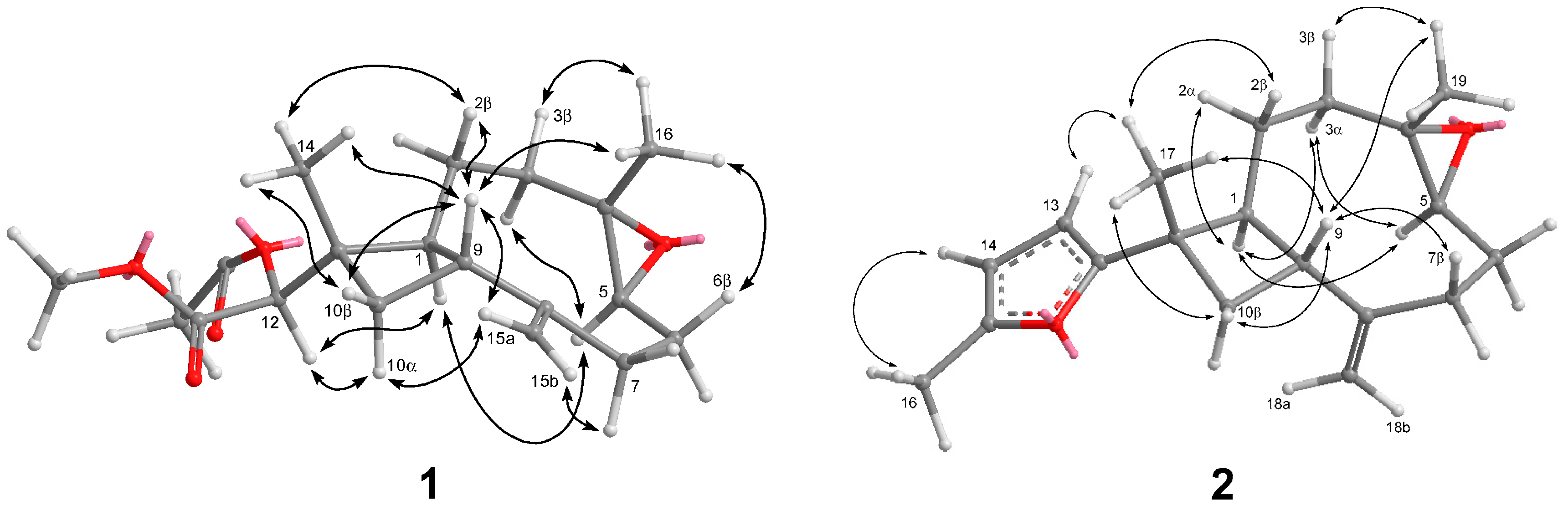 Marinedrugs 16 00040 g003 550