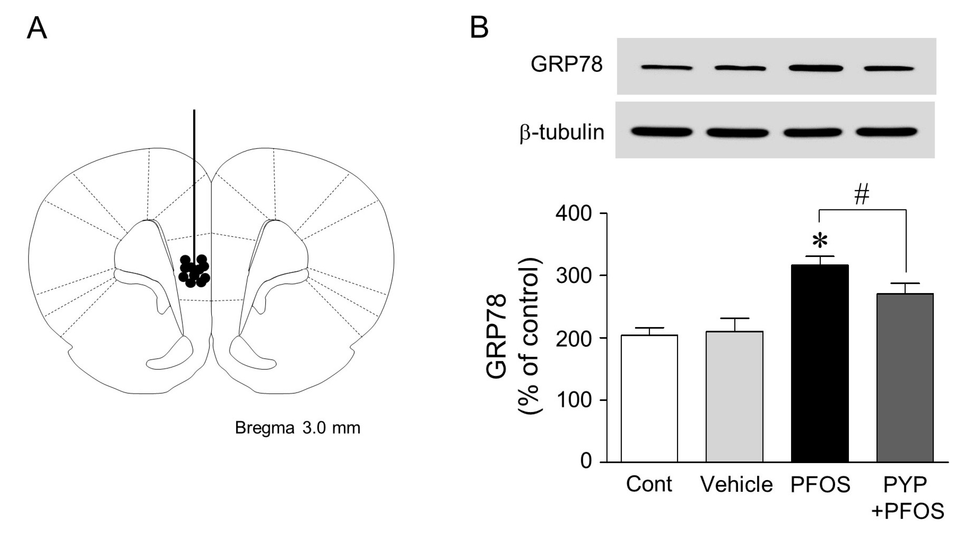 Marinedrugs 16 00044 g005 550