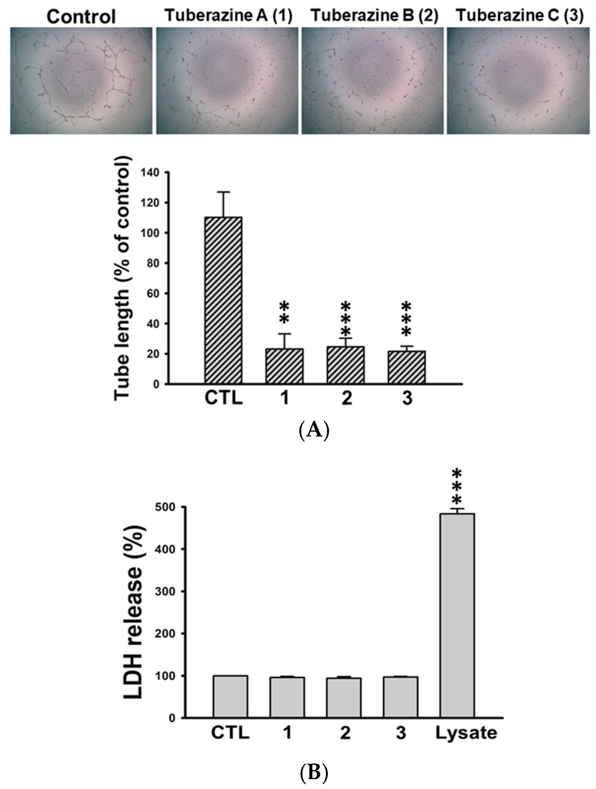 Marinedrugs 16 00047 g005 550