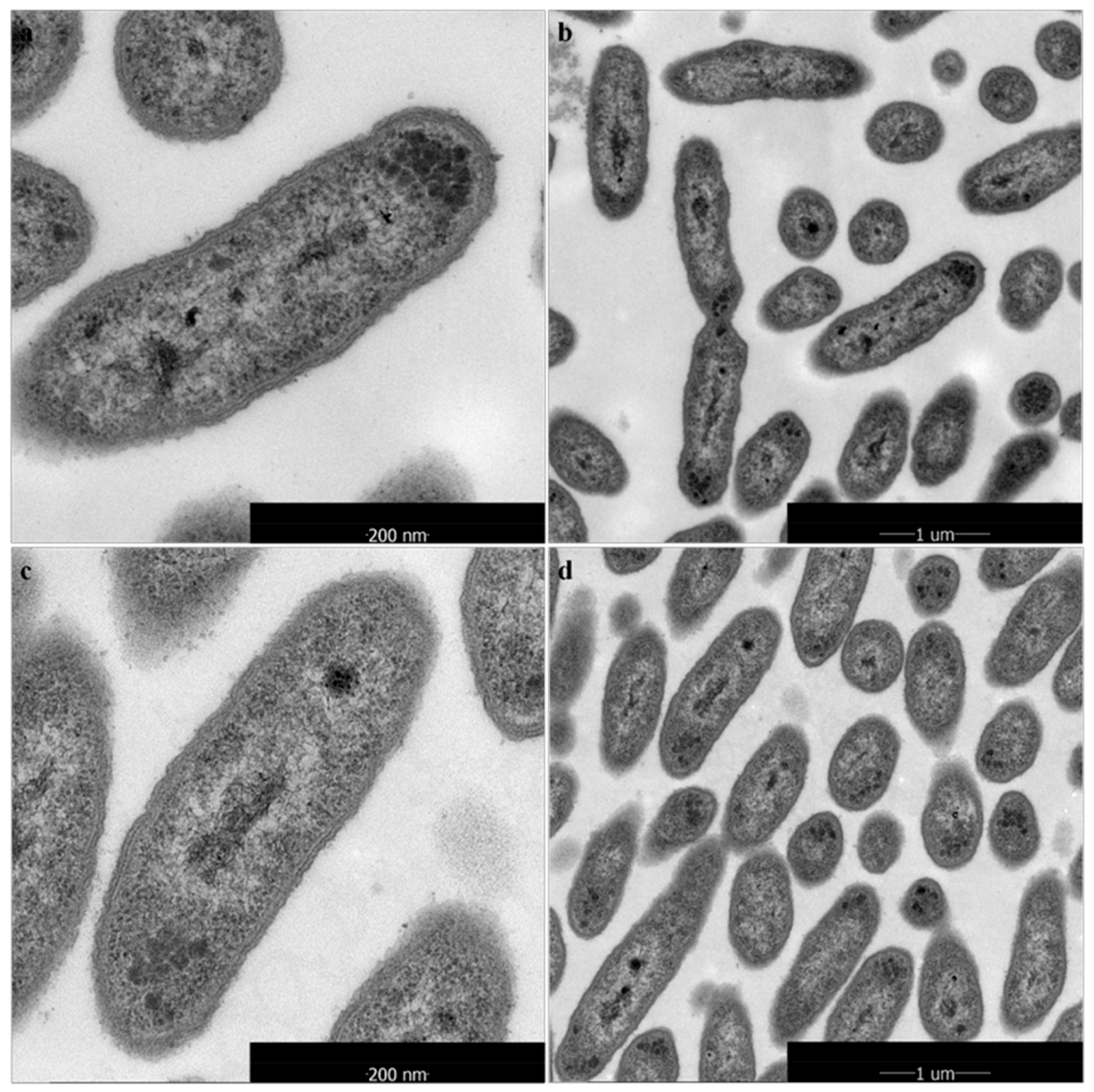 Marinedrugs 16 00052 g003