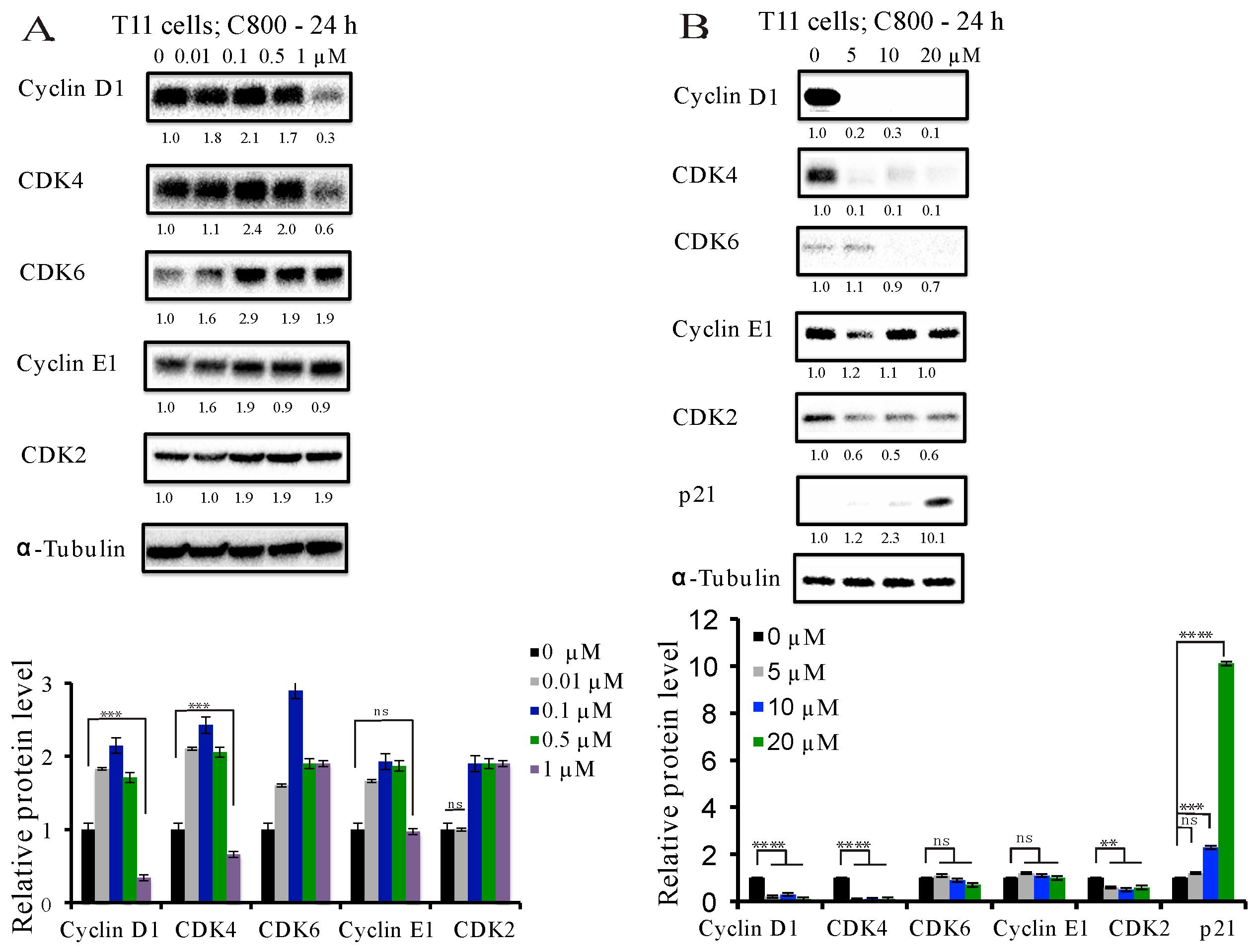Marinedrugs 16 00053 g004a Marinedrugs 16 00053 g004a