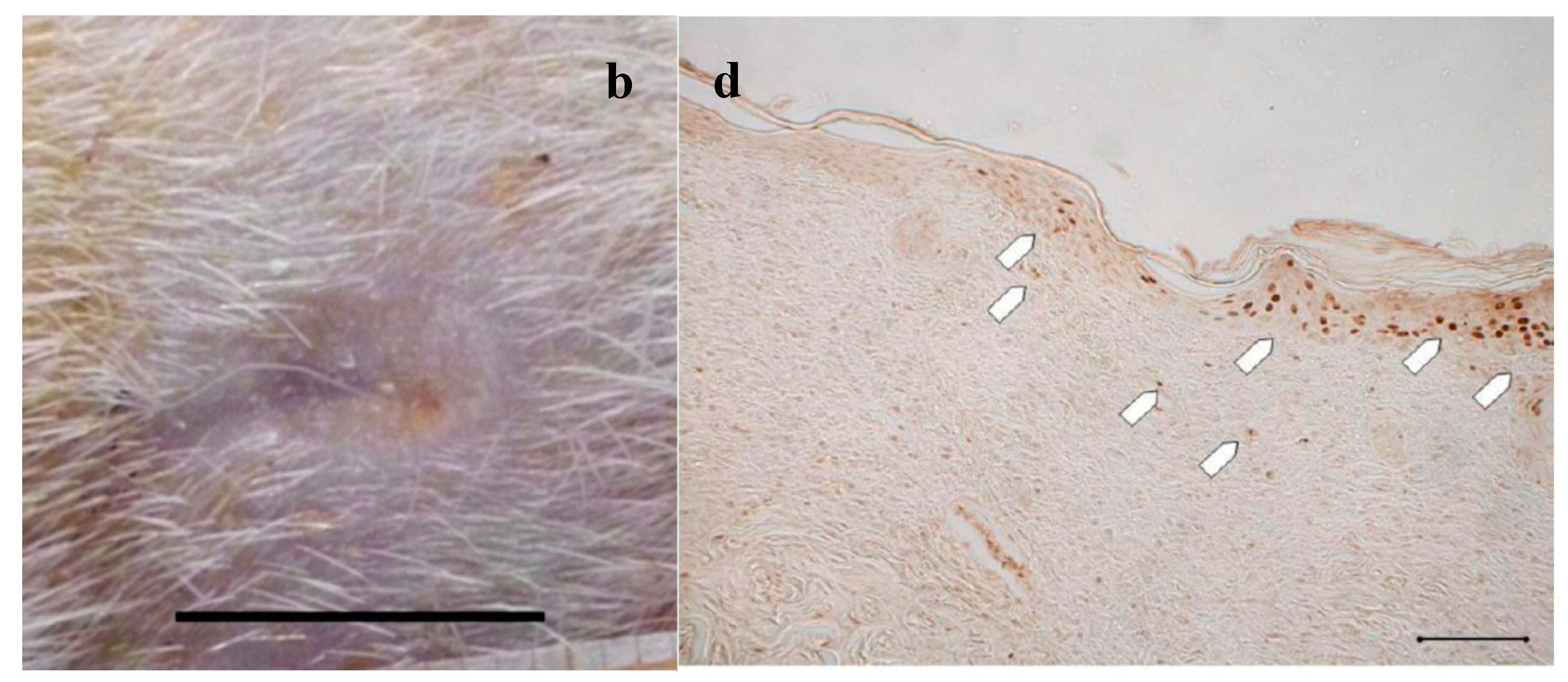 Marinedrugs 16 00056 g003b 550