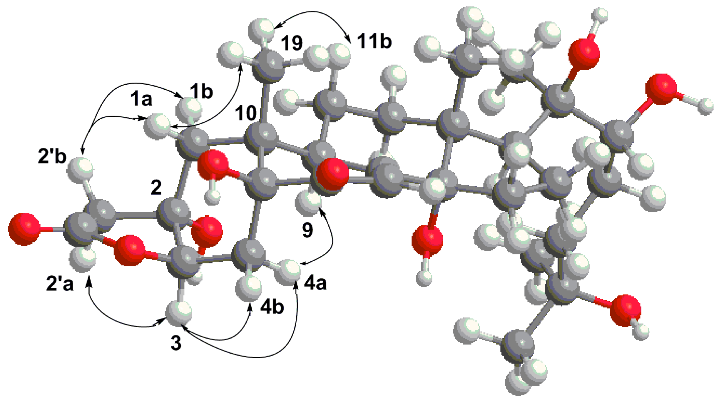 Marinedrugs 16 00058 g002
