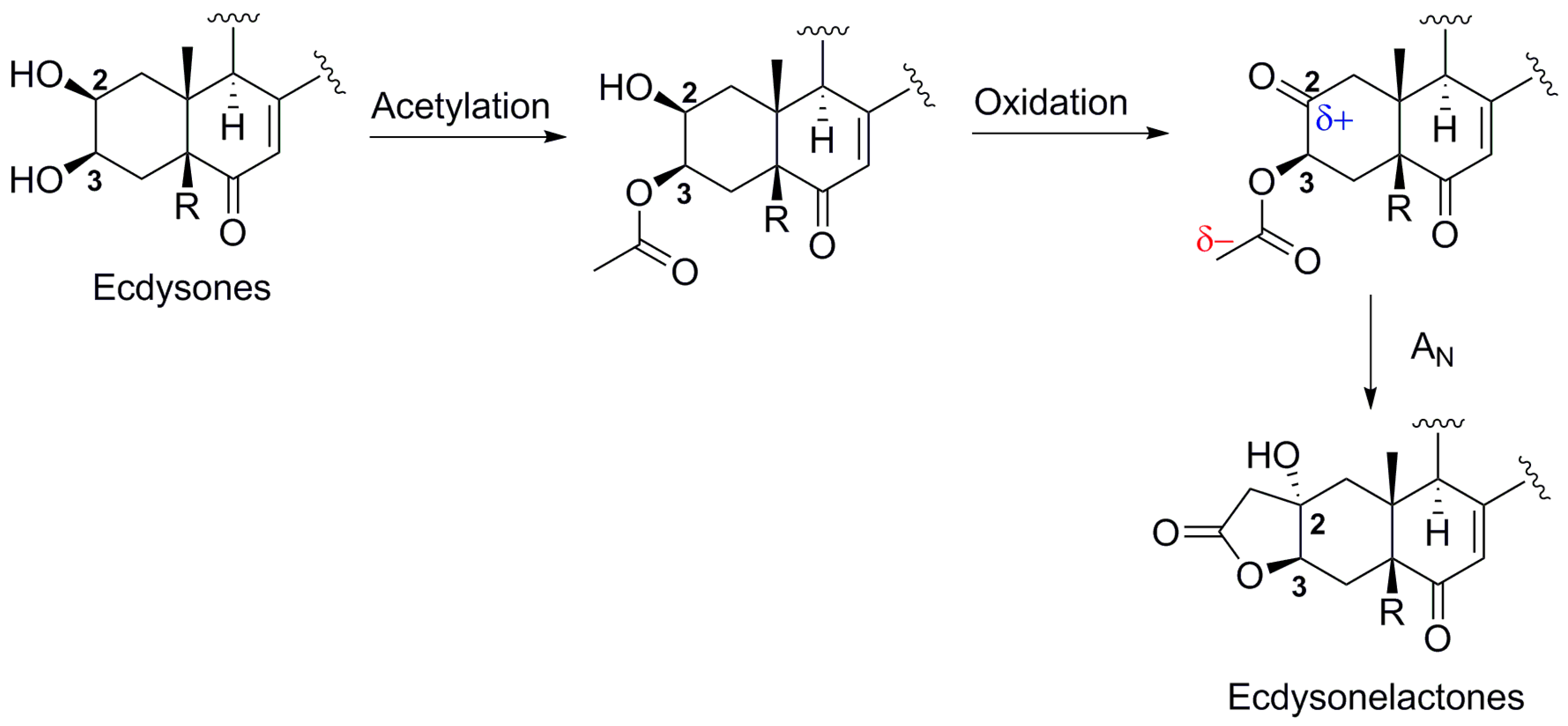 Marinedrugs 16 00058 sch001