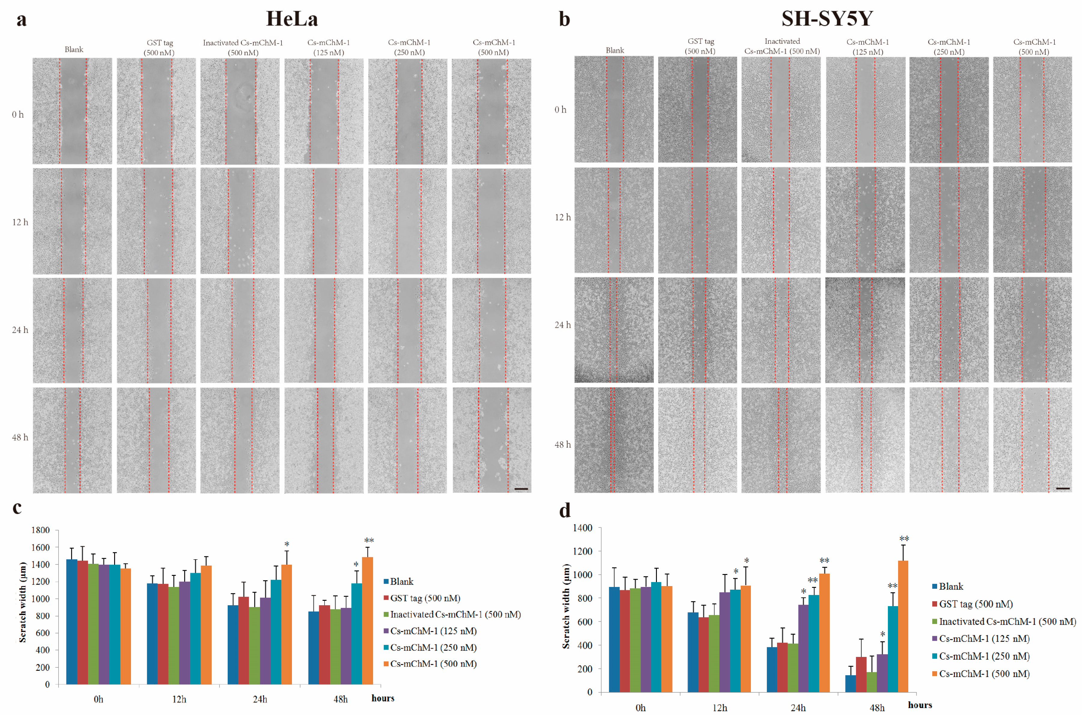 Marinedrugs 16 00059 g004 550