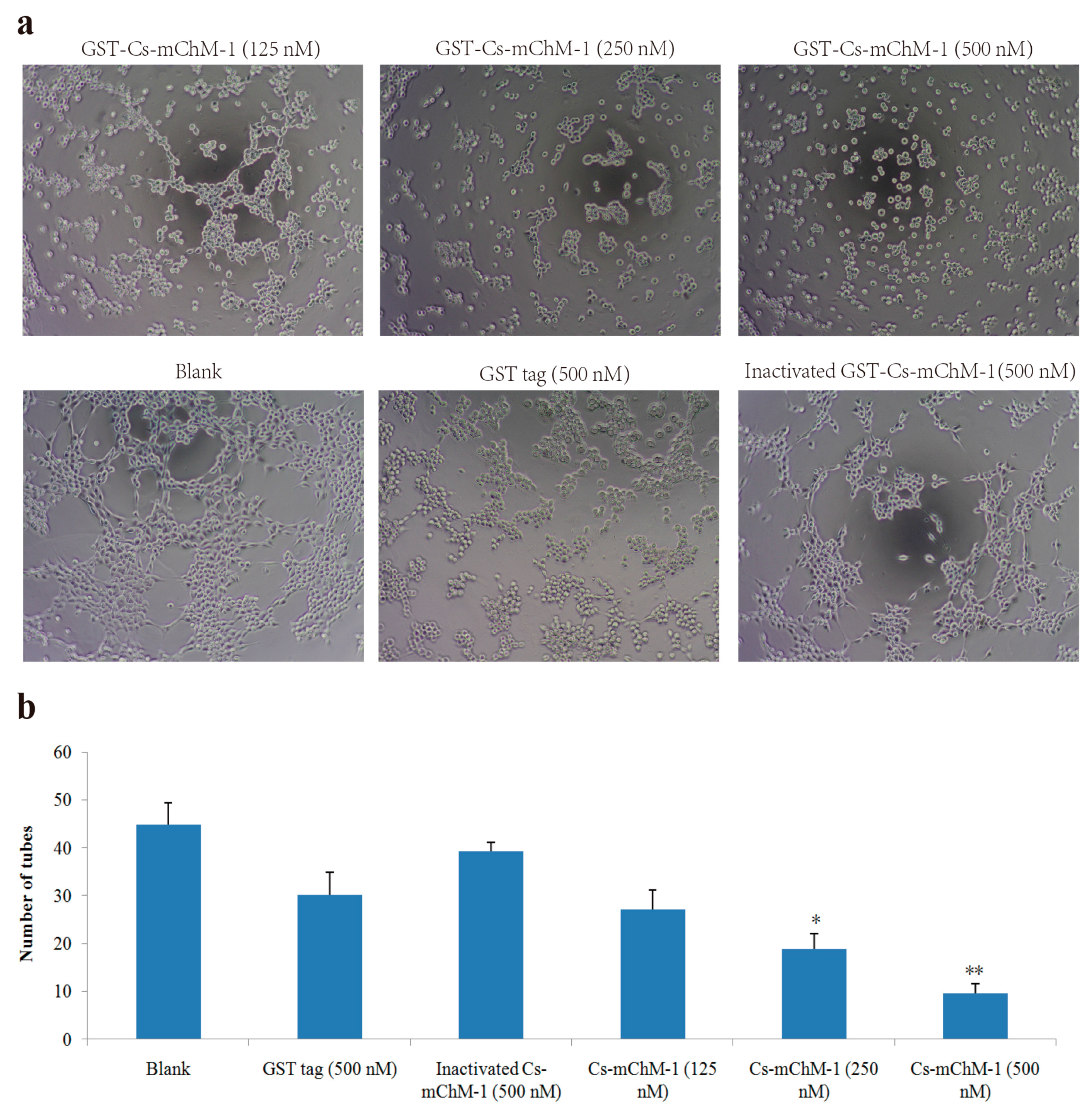 Marinedrugs 16 00059 g005 550