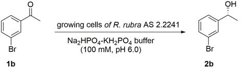 Marinedrugs 16 00062 i002