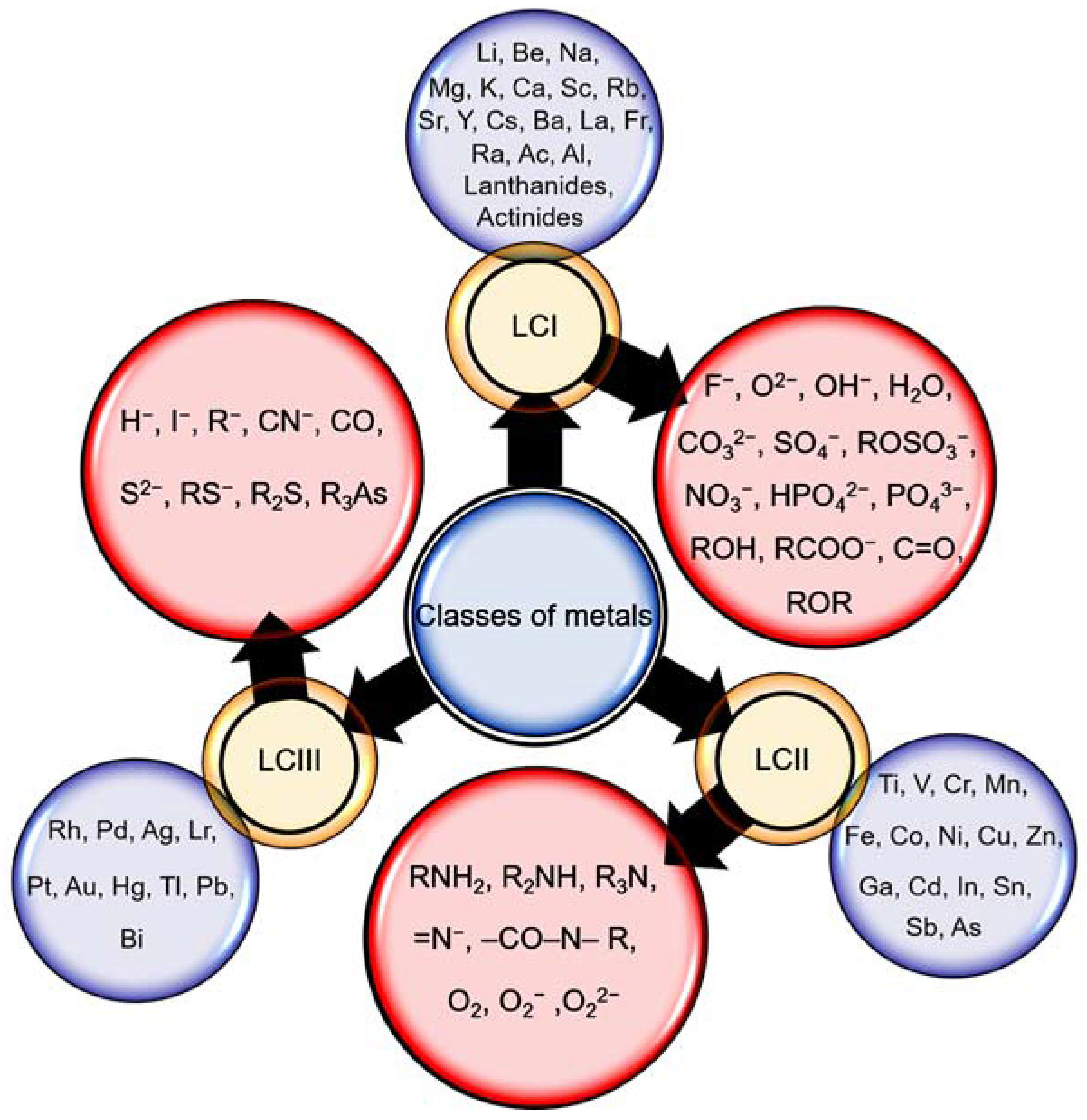 Marine Drugs Free Full Text Biosorption An Interplay Between