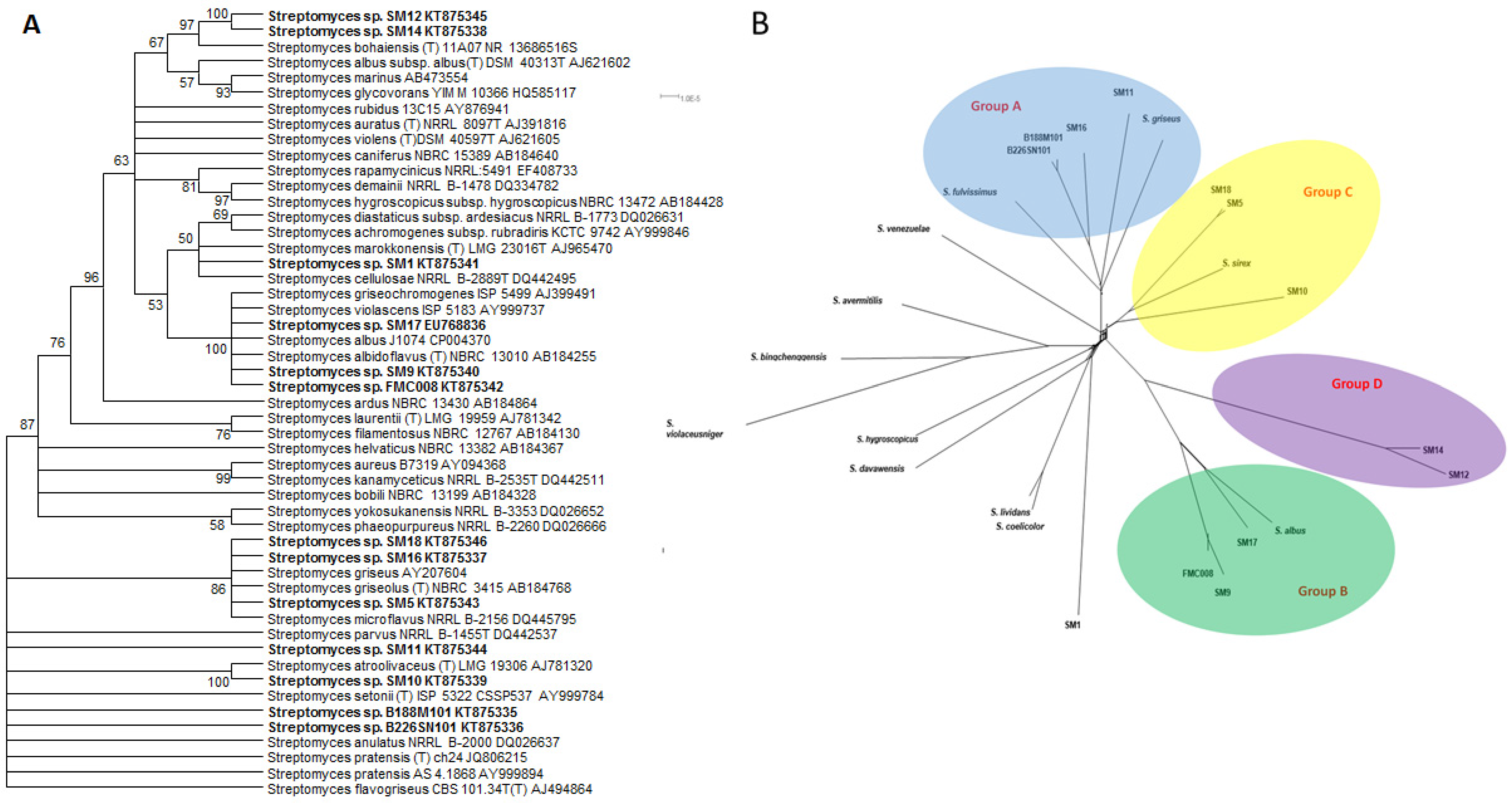 Marinedrugs 16 00067 g001 Marinedrugs 16 00067 g001