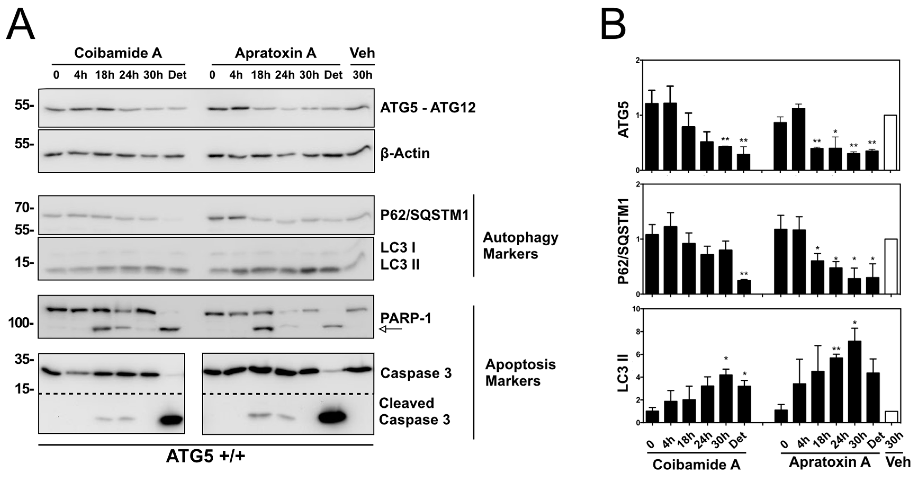 Marinedrugs 16 00077 g009 Marinedrugs 16 00077 g009