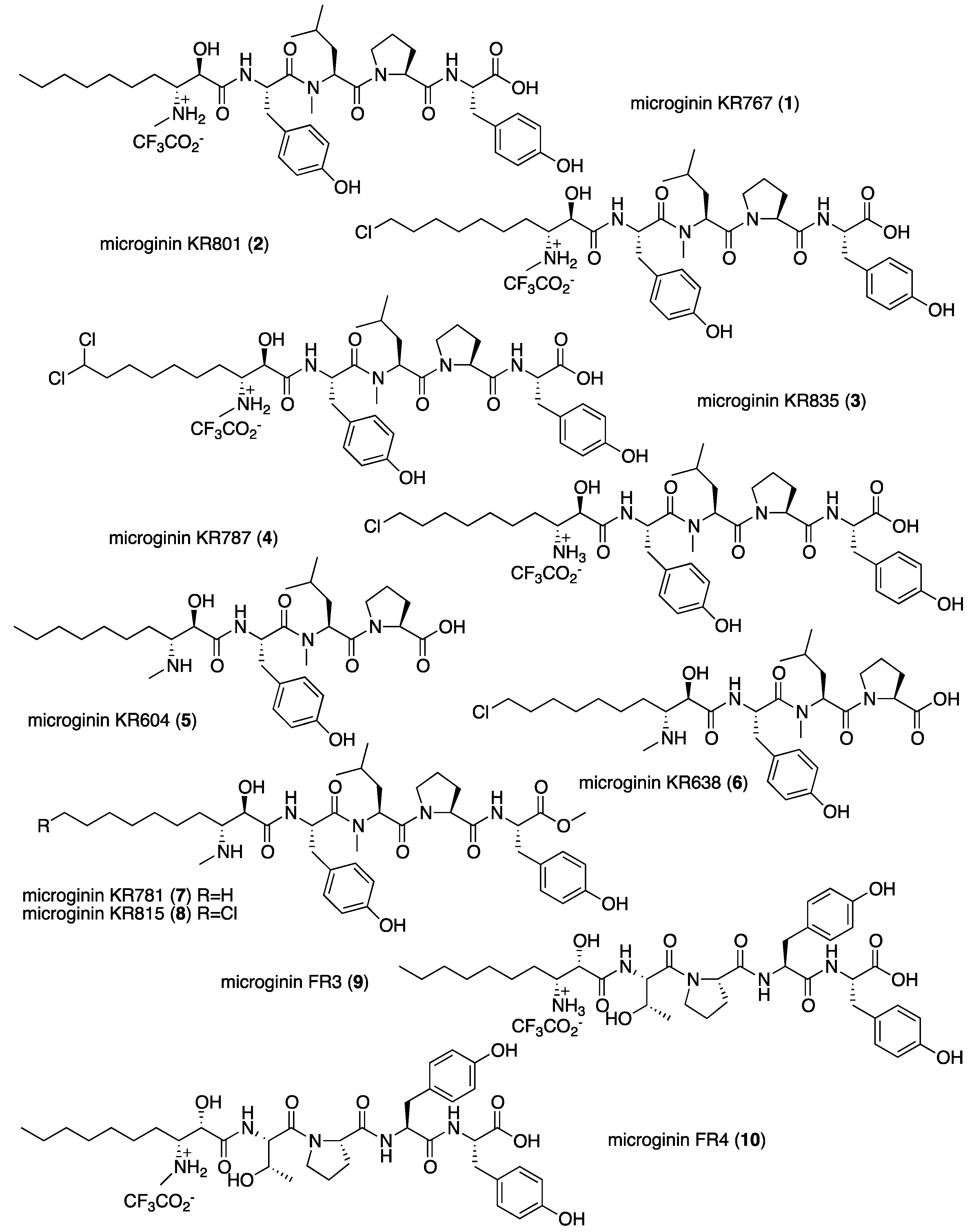 Marinedrugs 16 00078 g001 Marinedrugs 16 00078 g001