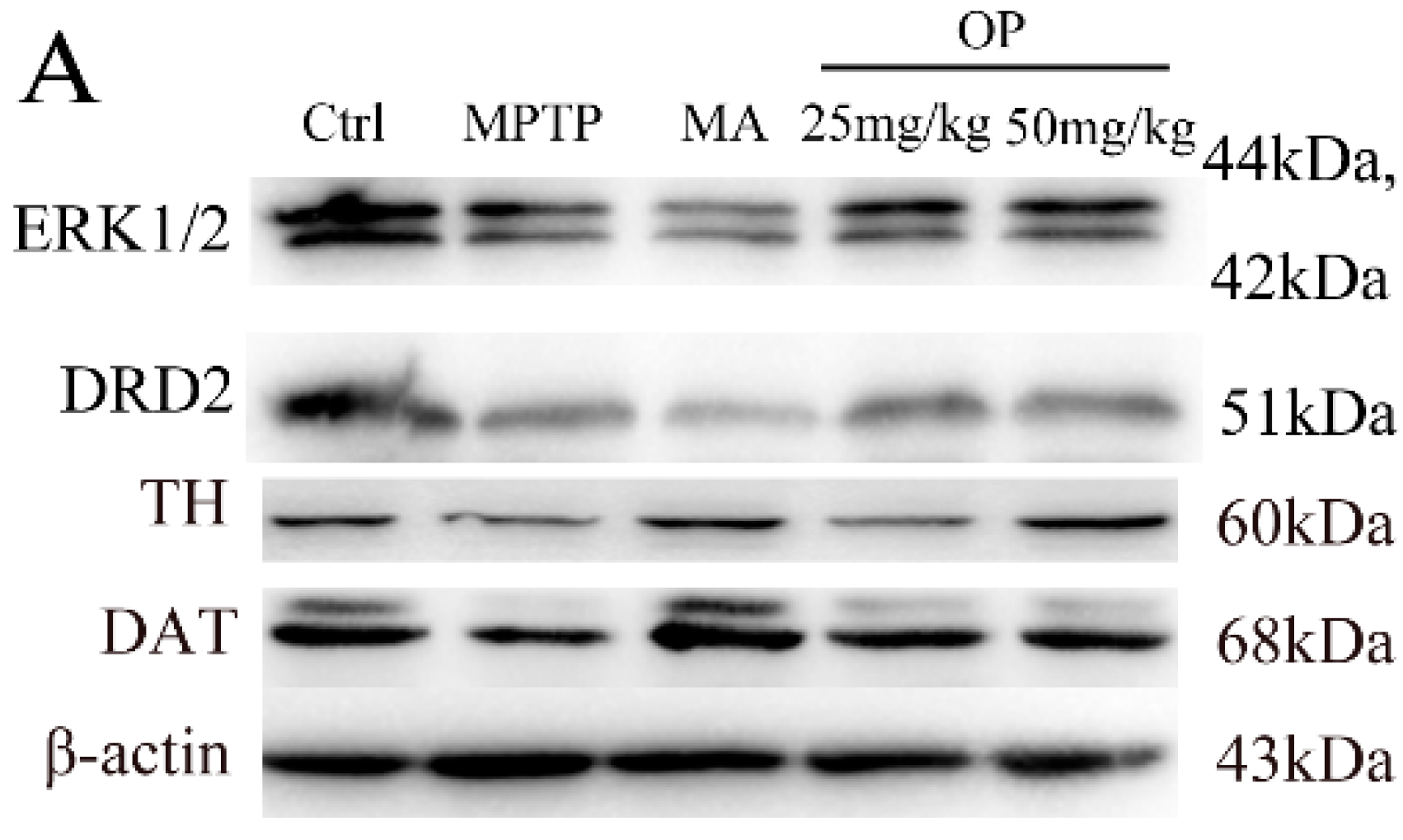 Marinedrugs 16 00082 g003a