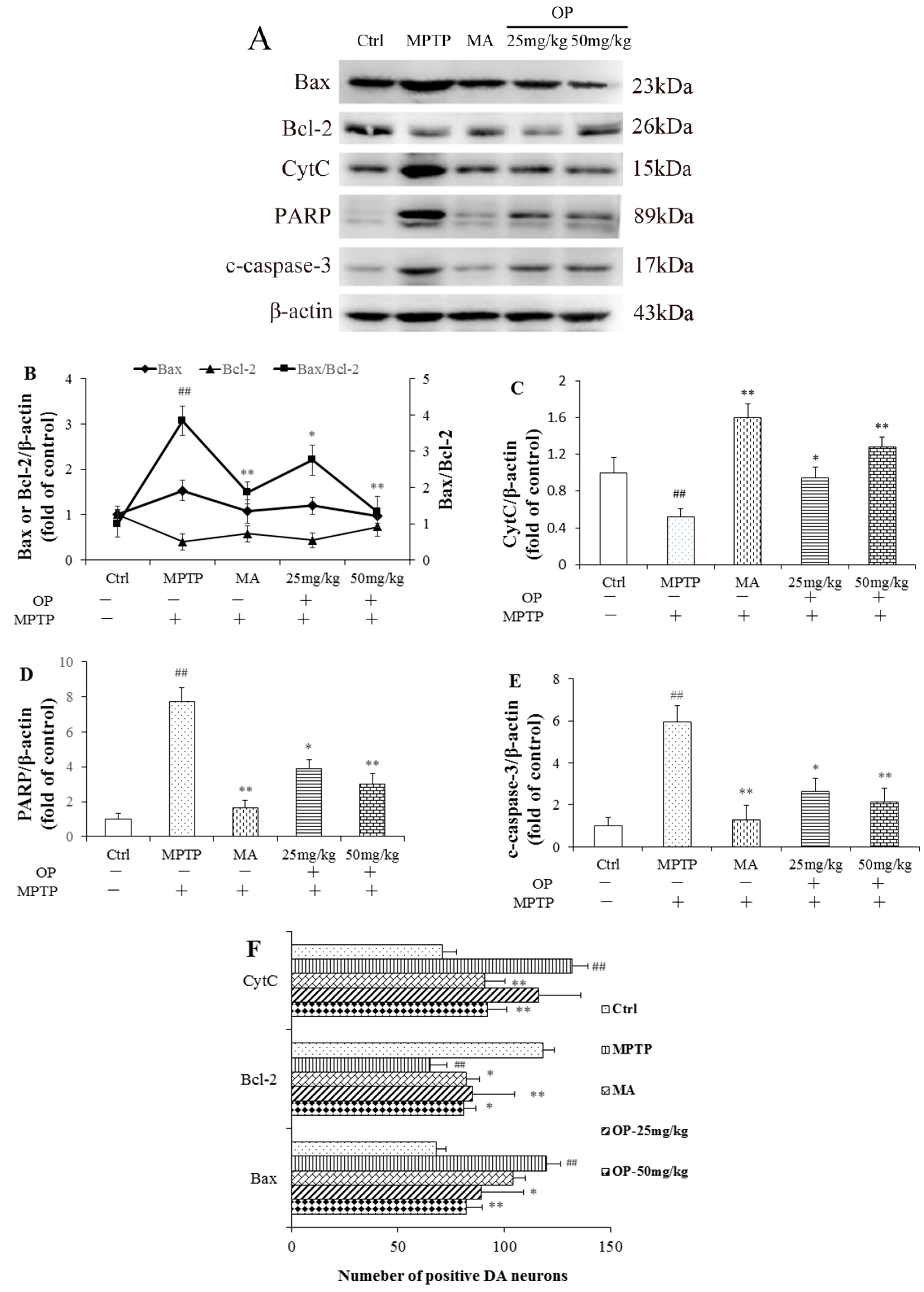 Marinedrugs 16 00082 g005