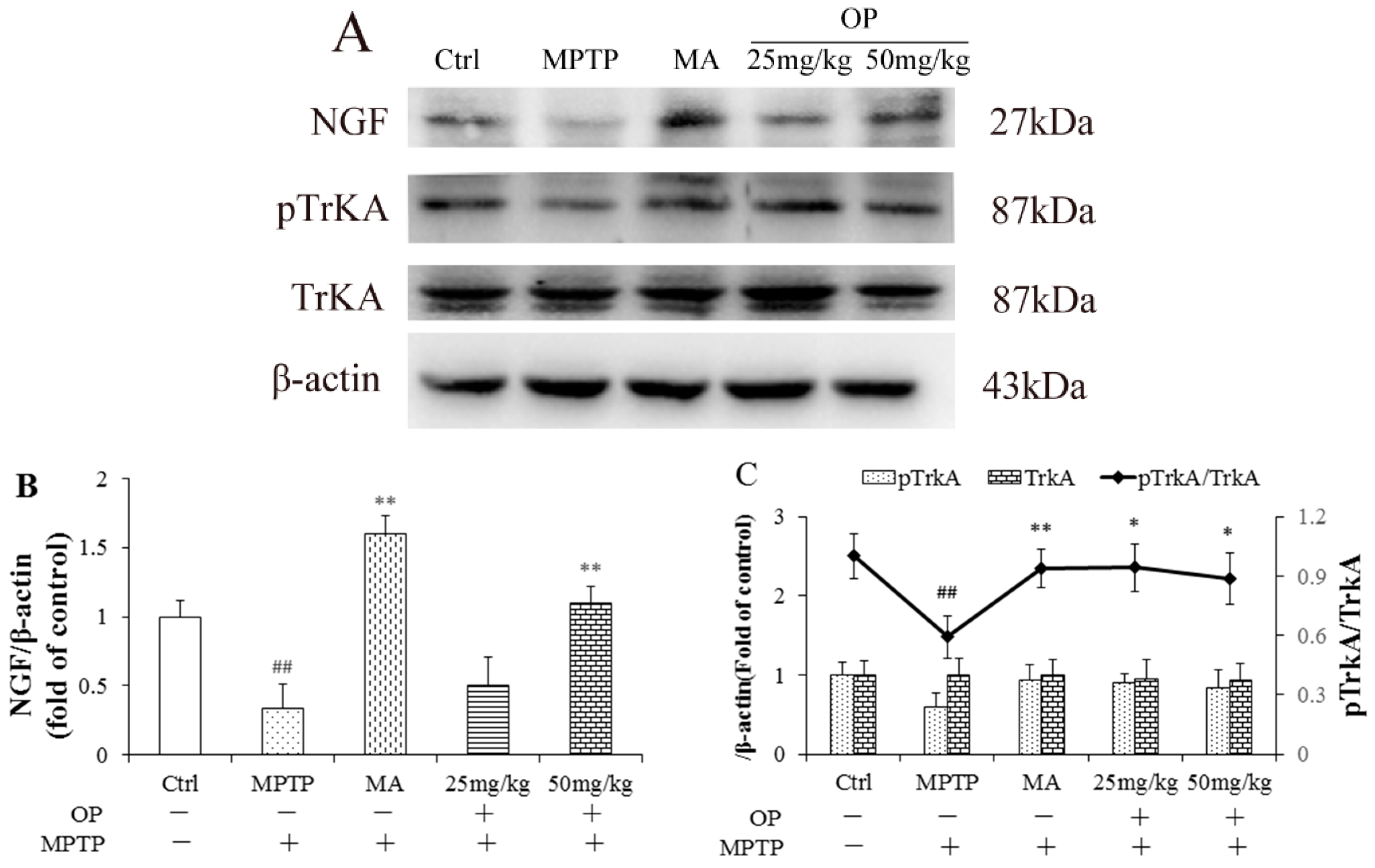 Marinedrugs 16 00082 g006