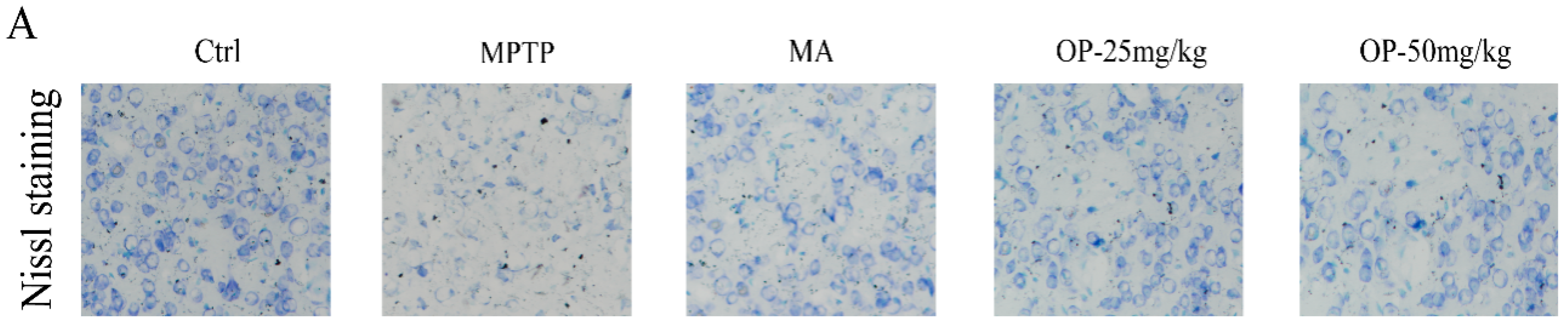 Marinedrugs 16 00082 g007a