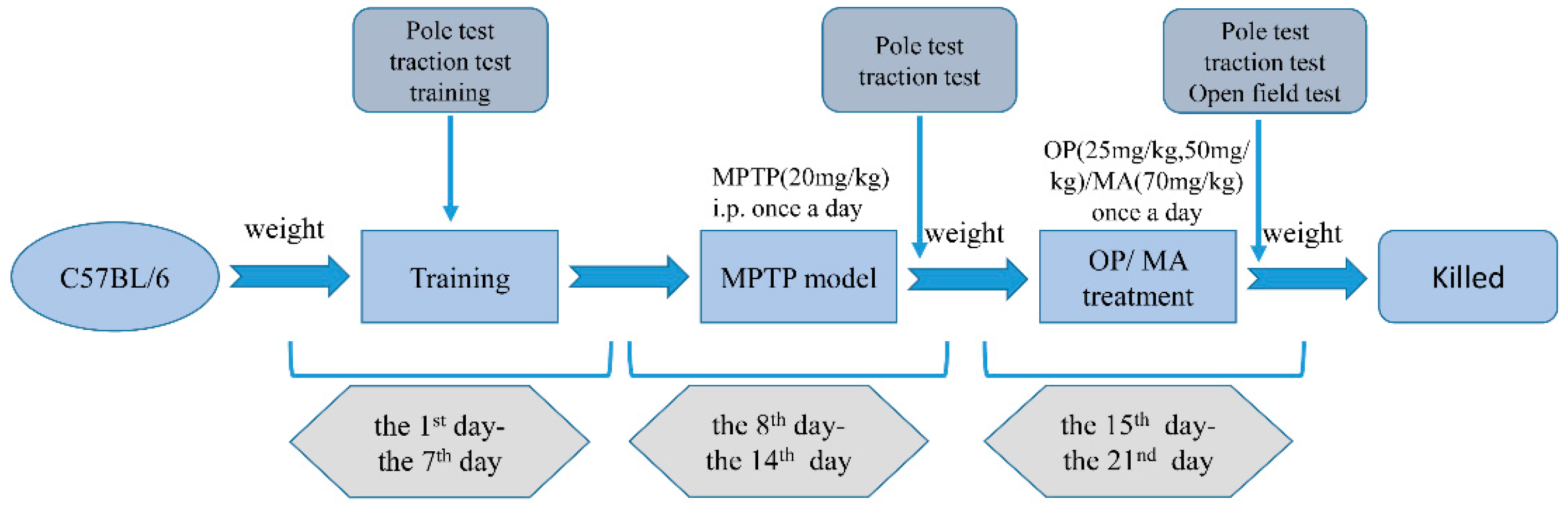 Marinedrugs 16 00082 g008