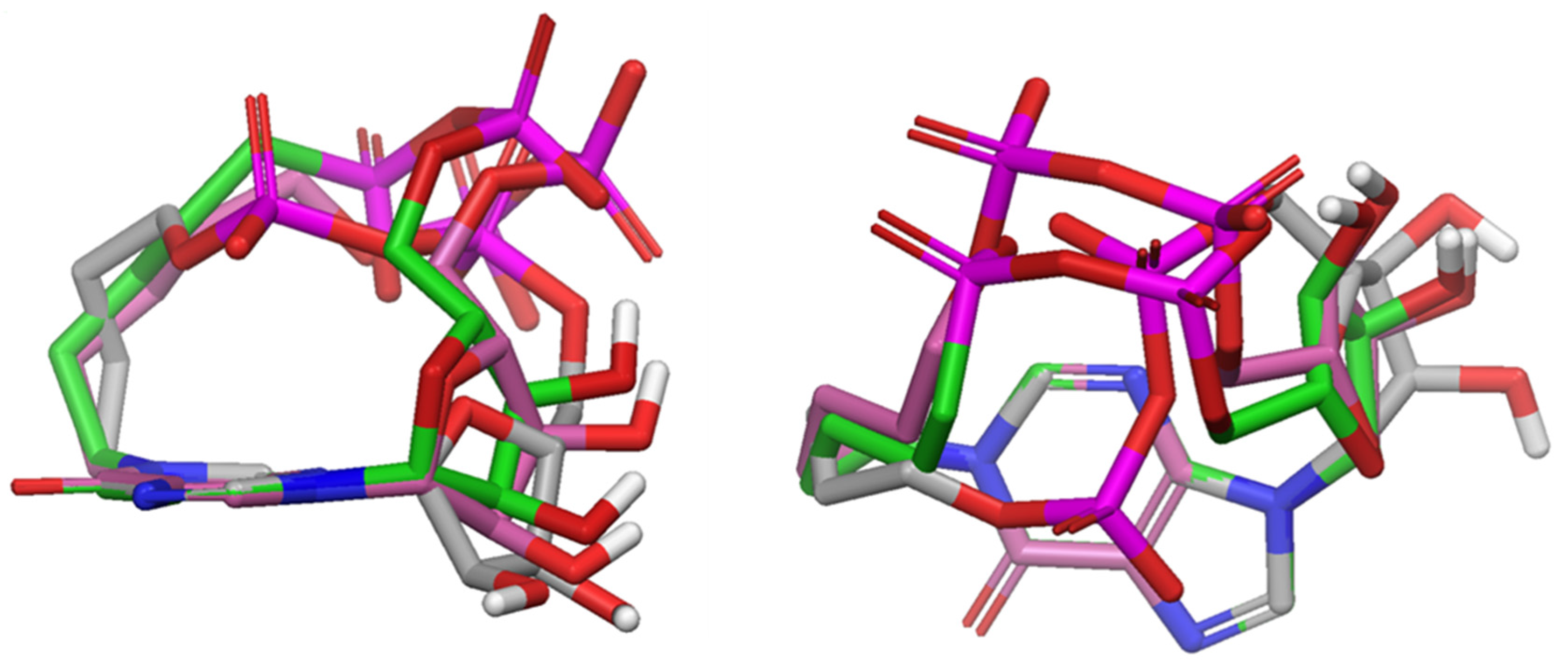 Marinedrugs 16 00089 g003