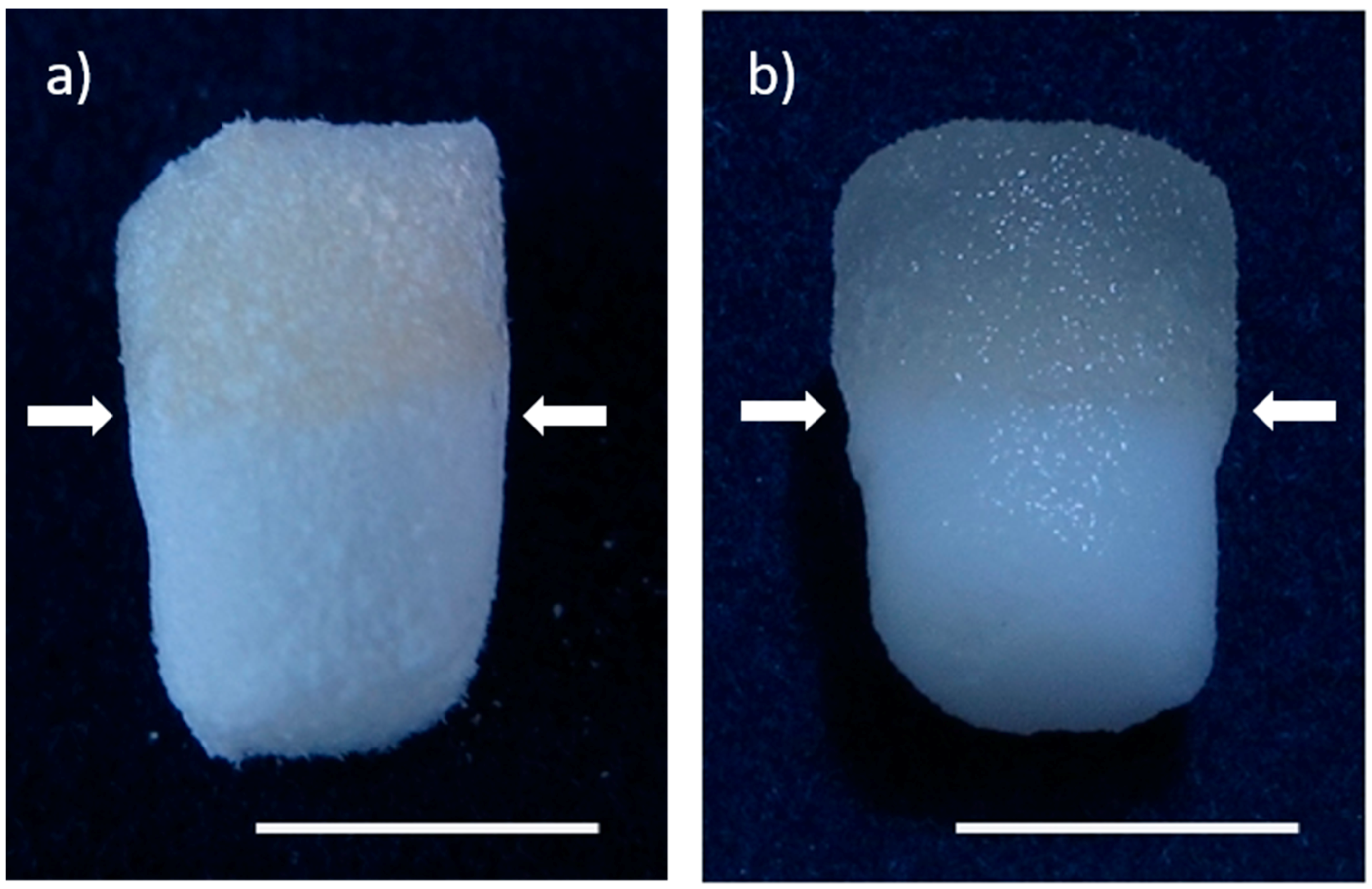 Marinedrugs 16 00091 g001 Marinedrugs 16 00091 g001