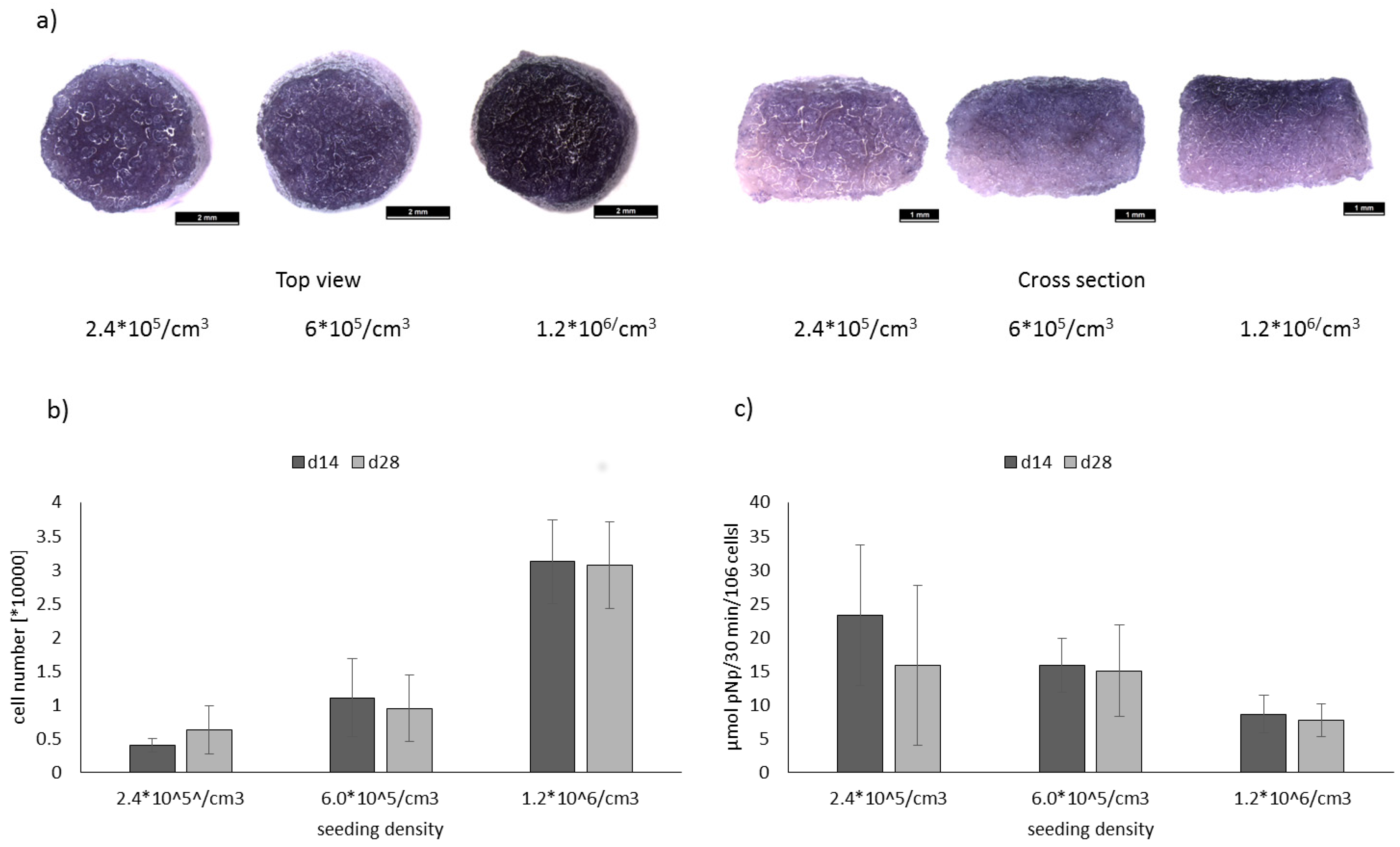 Marinedrugs 16 00091 g003 Marinedrugs 16 00091 g003