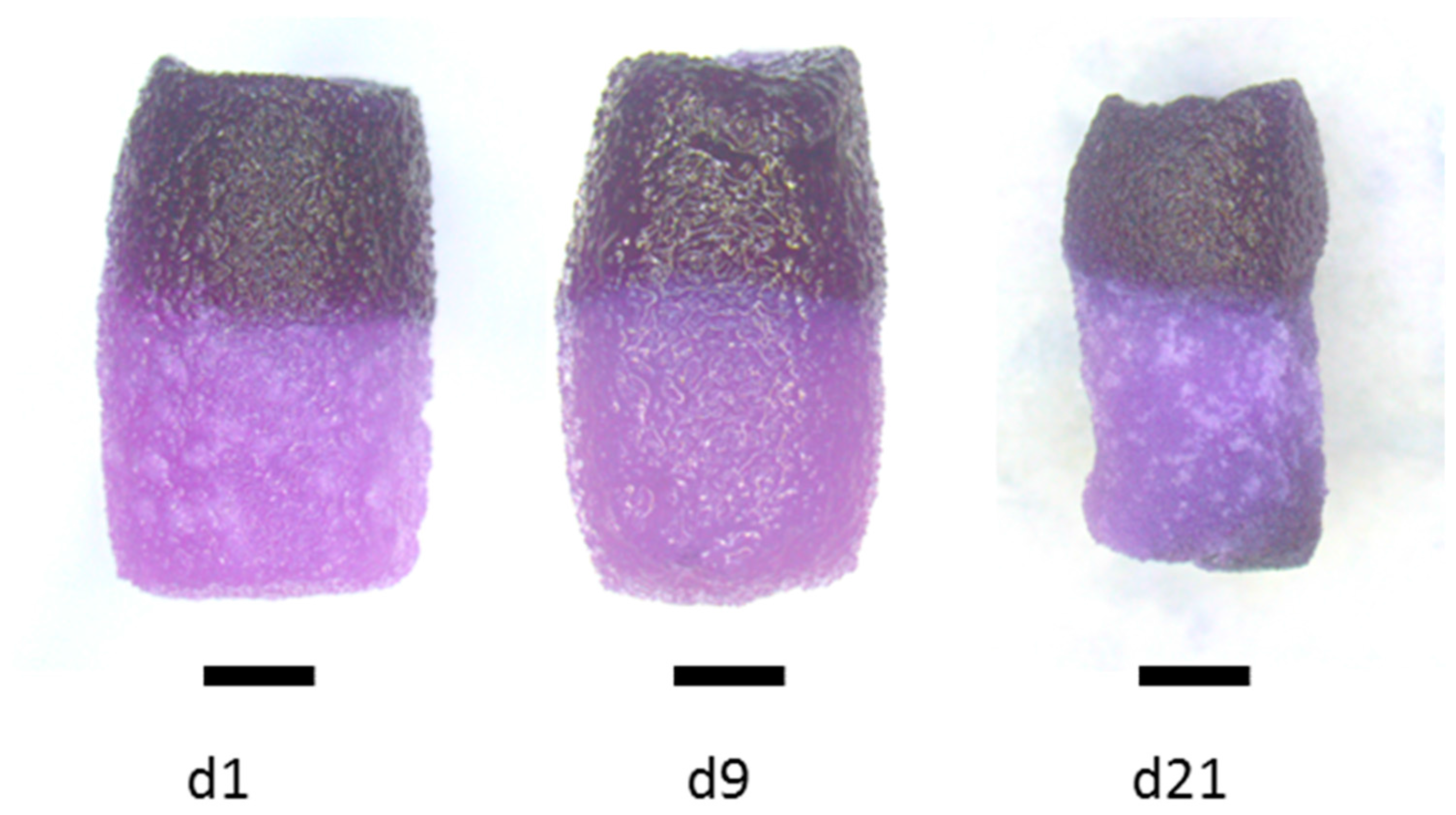 Marinedrugs 16 00091 g006 Marinedrugs 16 00091 g006