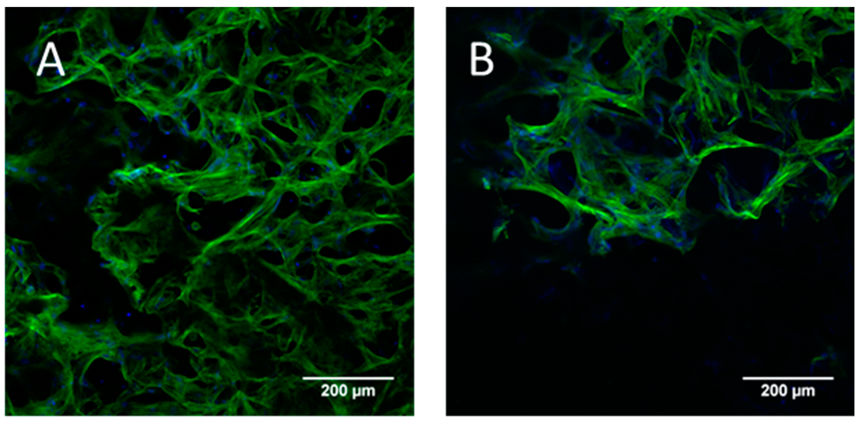 Marinedrugs 16 00091 g007 Marinedrugs 16 00091 g007