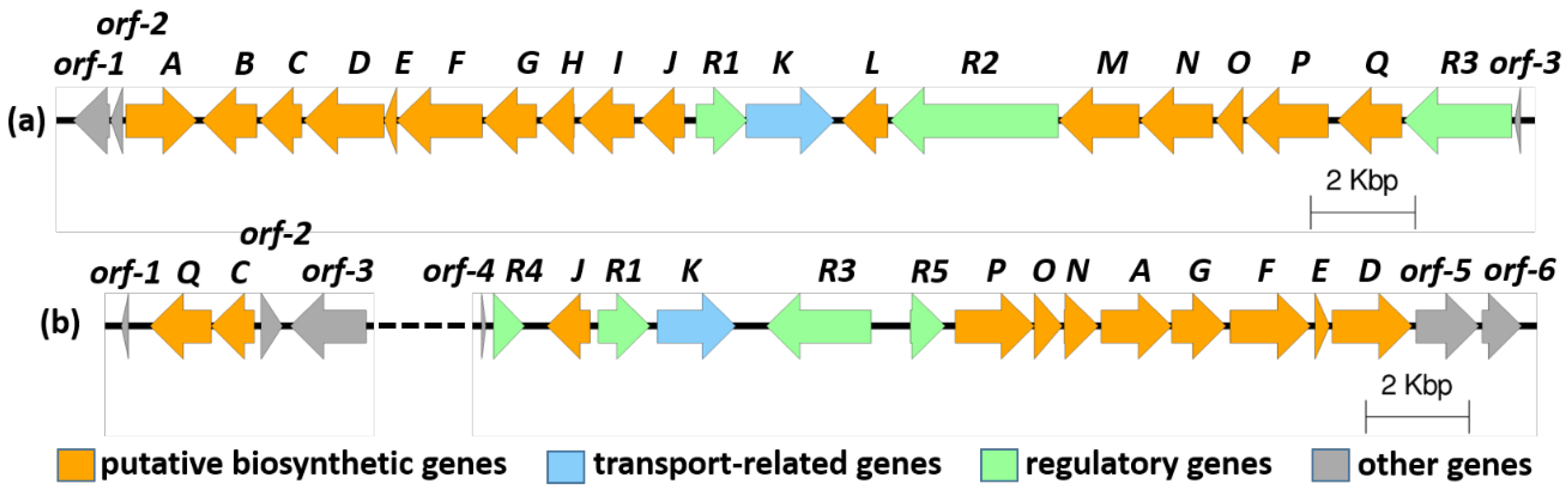 Marinedrugs 16 00098 g002