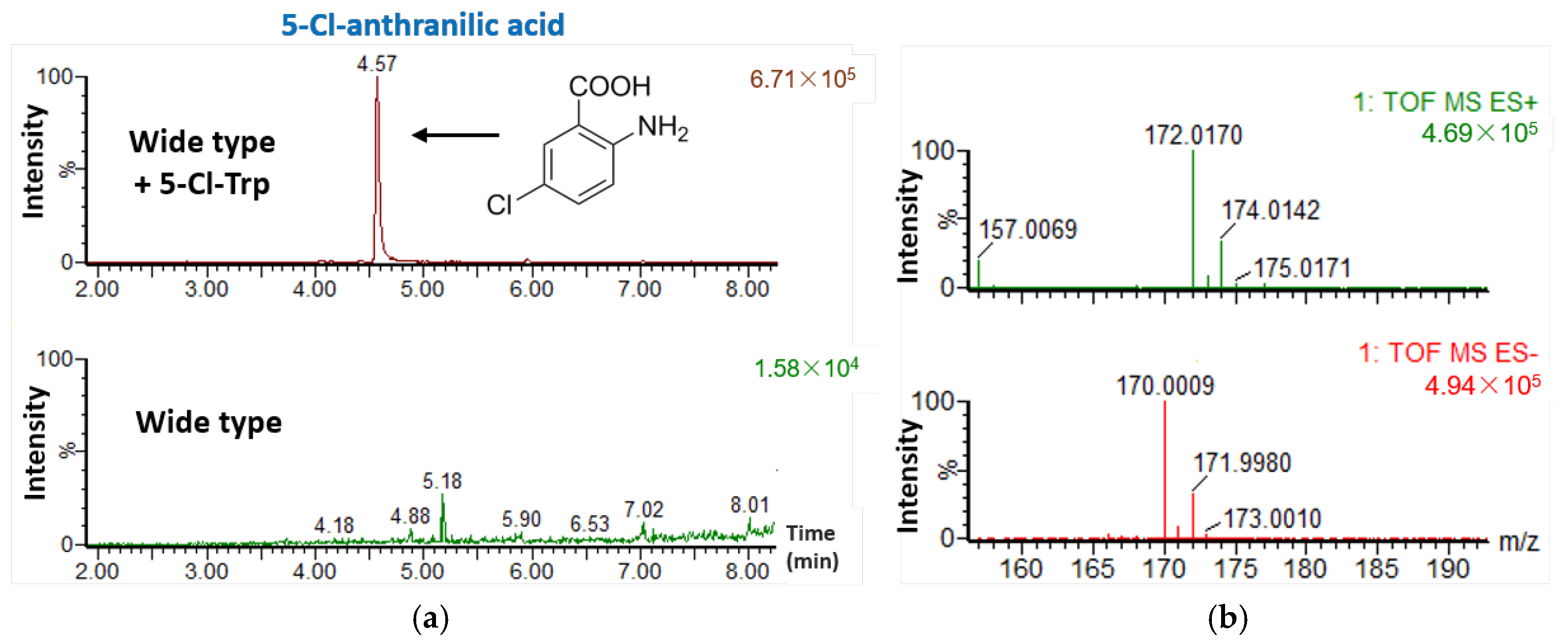 Marinedrugs 16 00098 g005