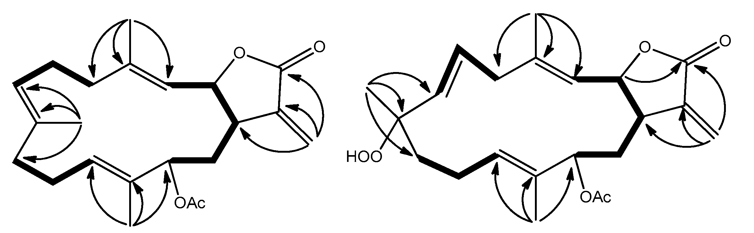 Marinedrugs 16 00099 g002