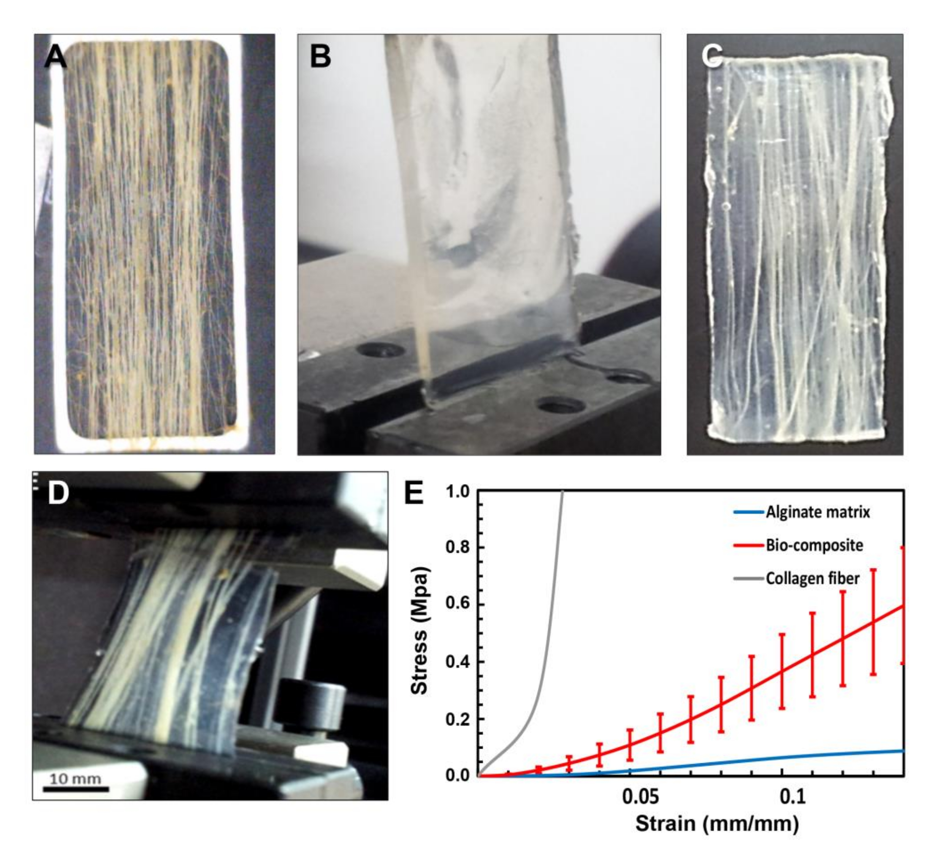 Marinedrugs 16 00102 g002 Marinedrugs 16 00102 g002