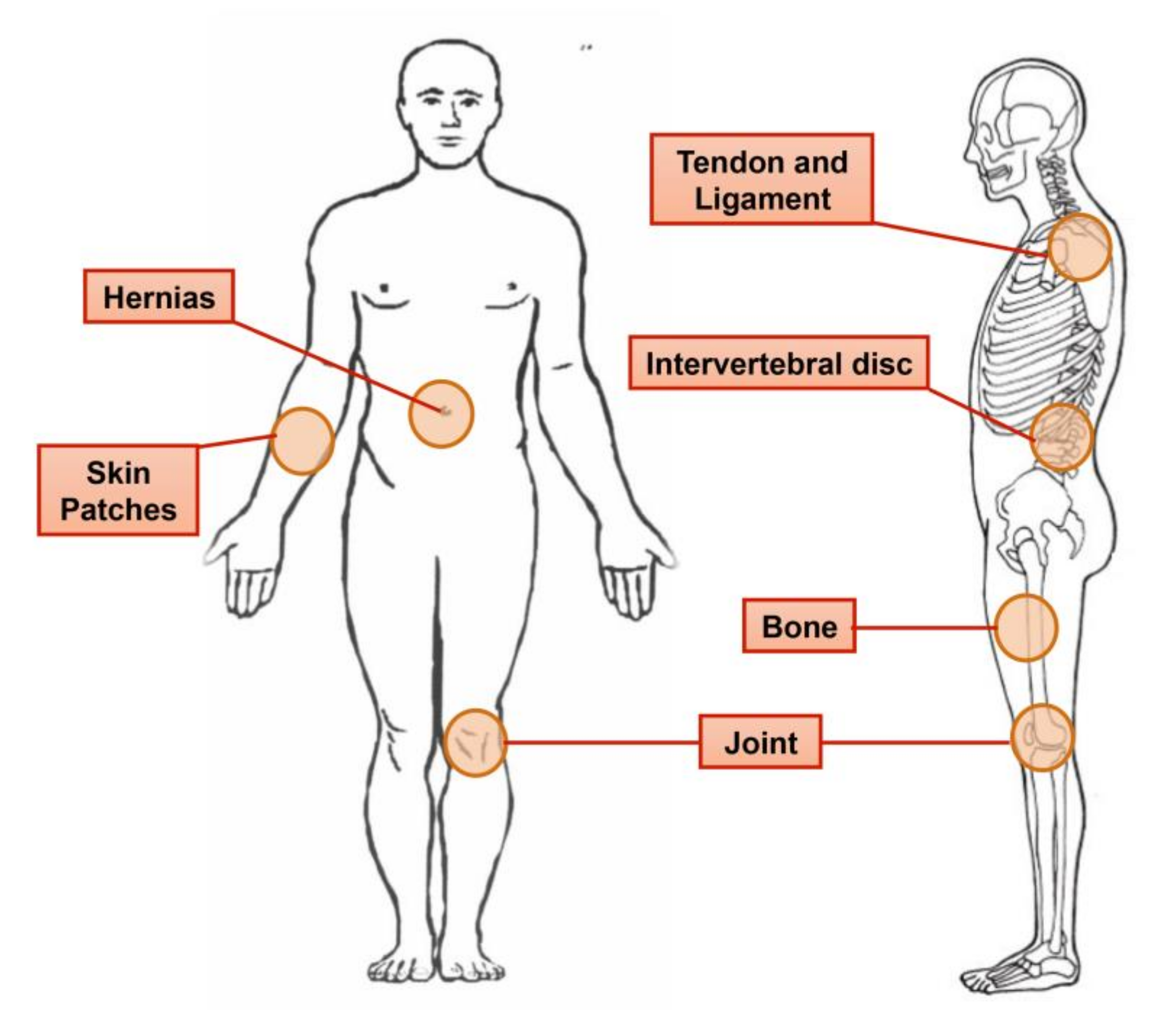 Marinedrugs 16 00102 g004 Marinedrugs 16 00102 g004