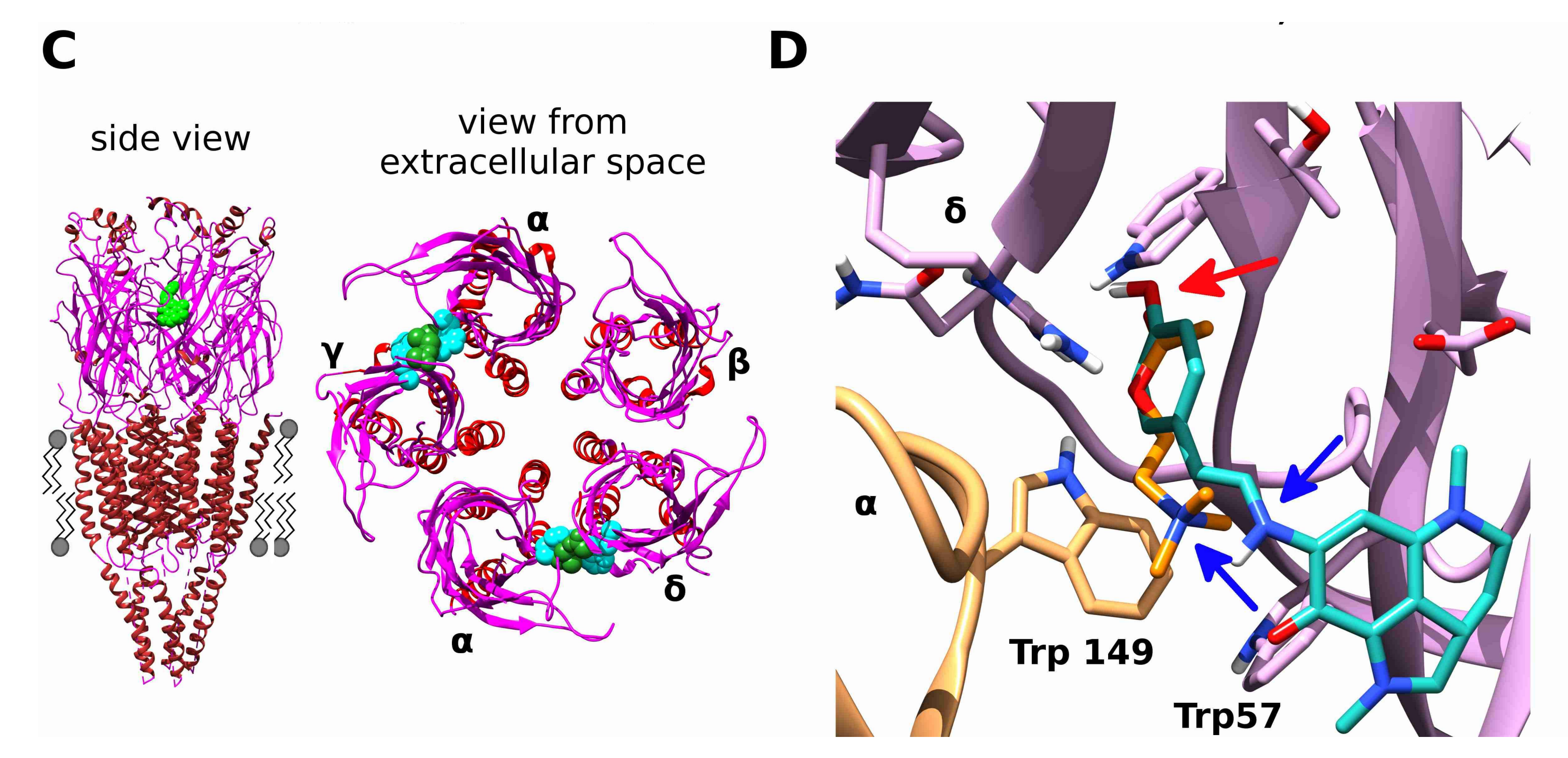 Marinedrugs 16 00109 g003b