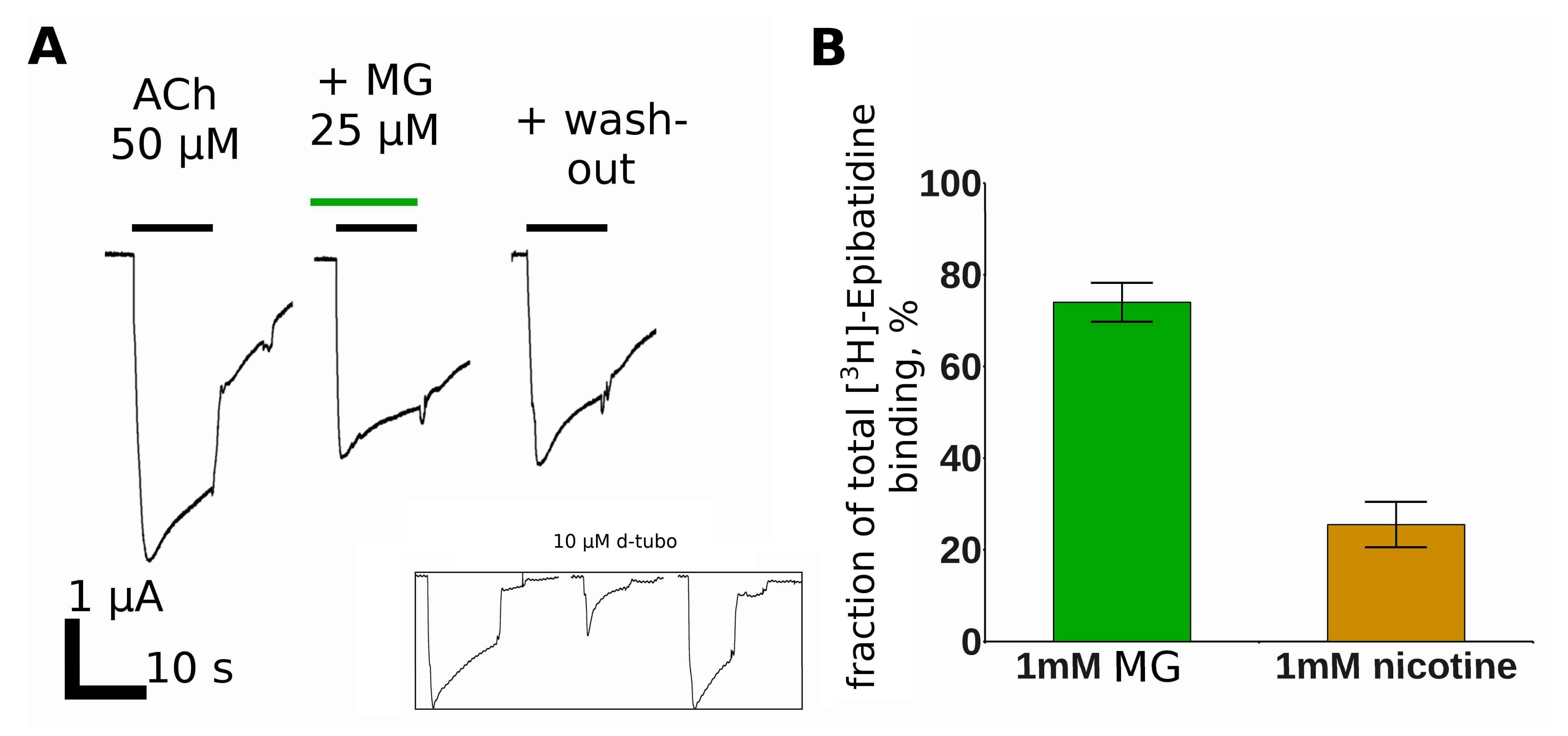 Marinedrugs 16 00109 g006