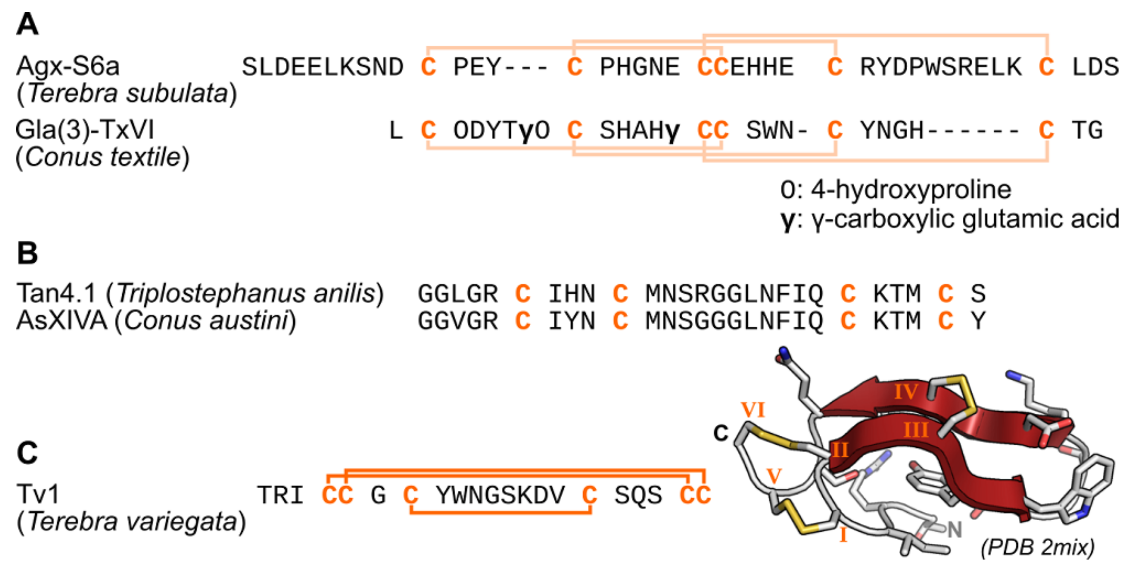 Marine Drugs Free Full Text Bioactive Compounds Isolated From Neglected Predatory Marine Gastropods Html