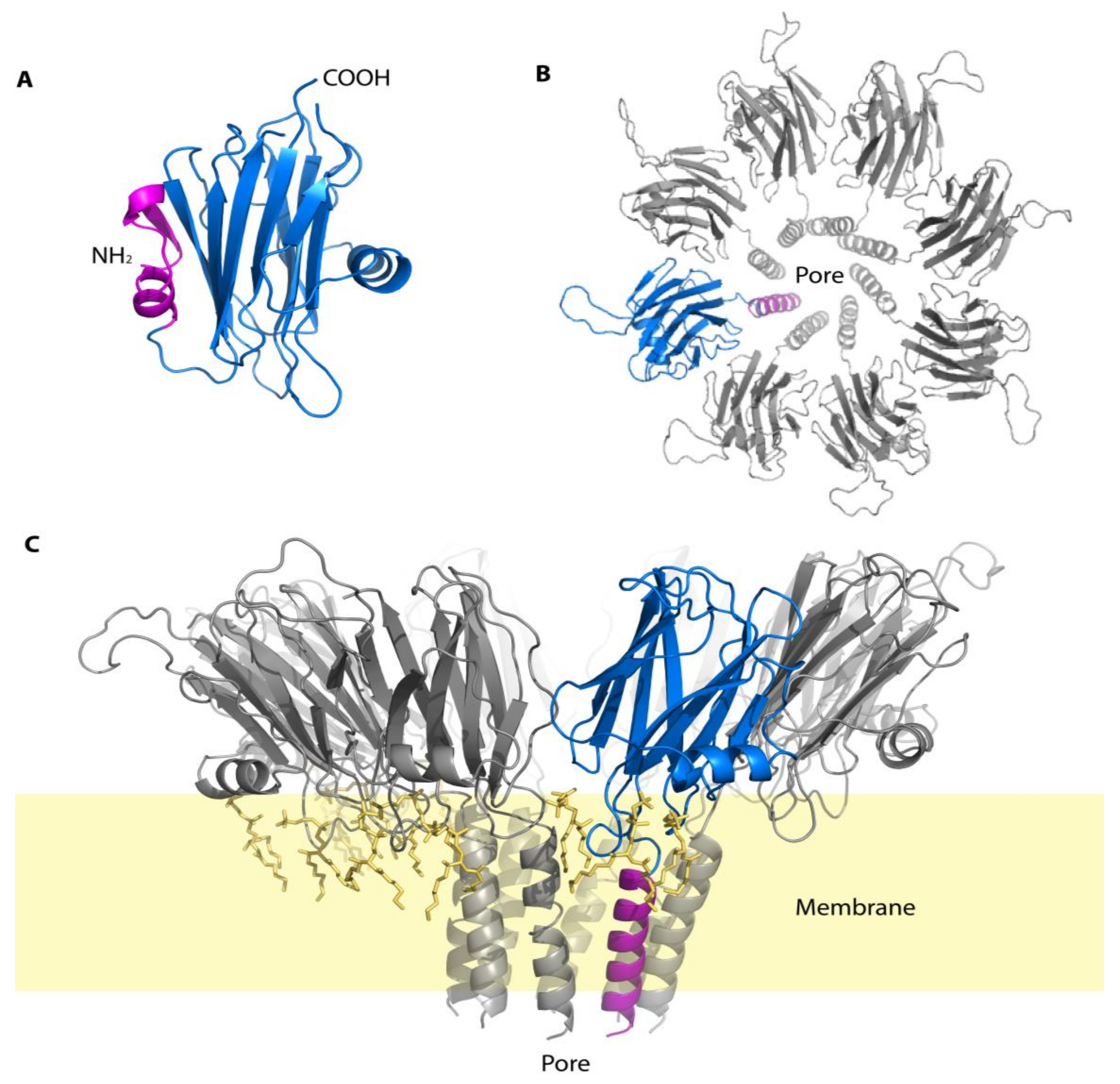 Marinedrugs 16 00118 g005 Marinedrugs 16 00118 g005