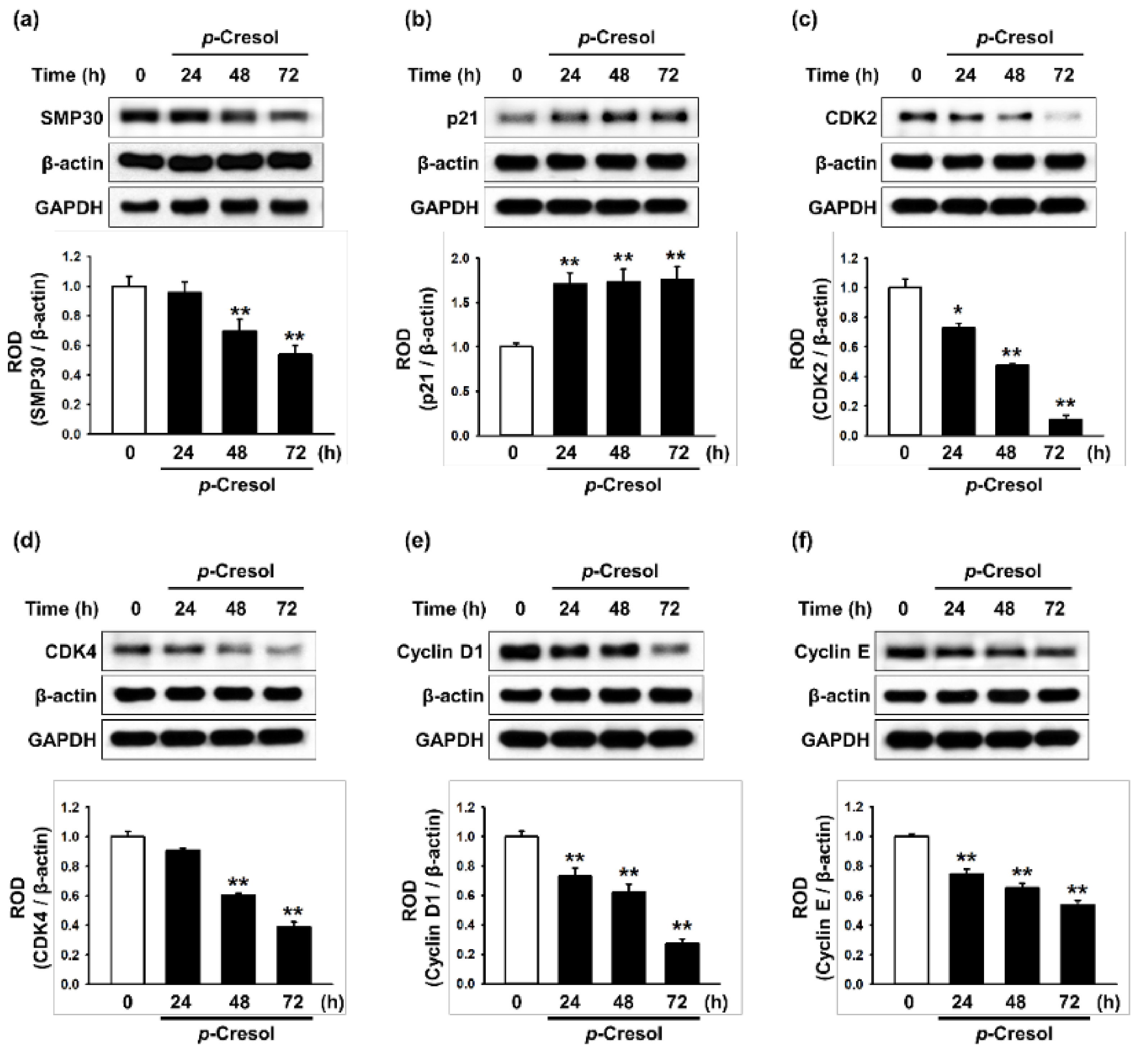 Marinedrugs 16 00121 g002 550