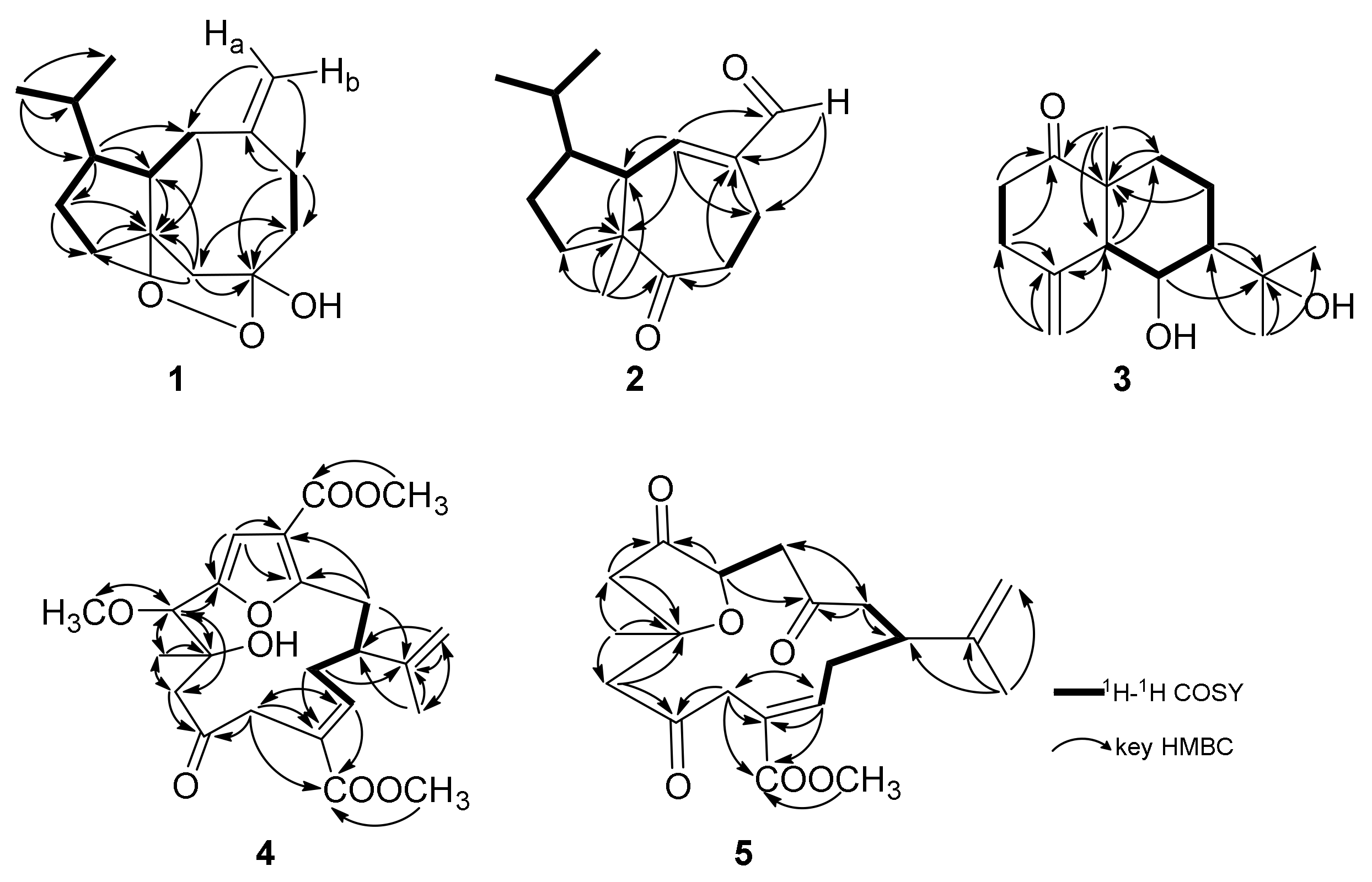Marinedrugs 16 00127 g002