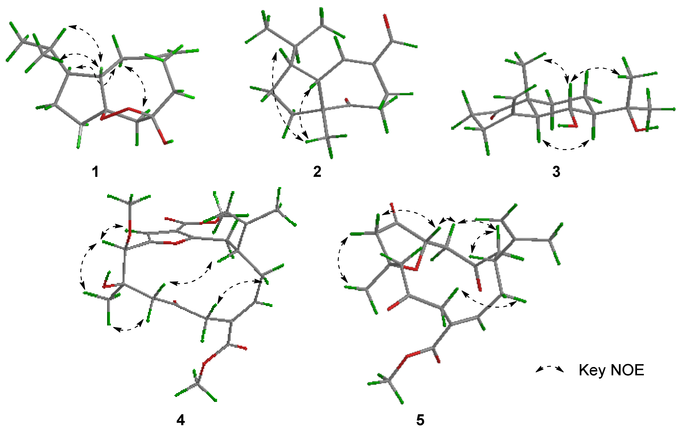 Marinedrugs 16 00127 g003