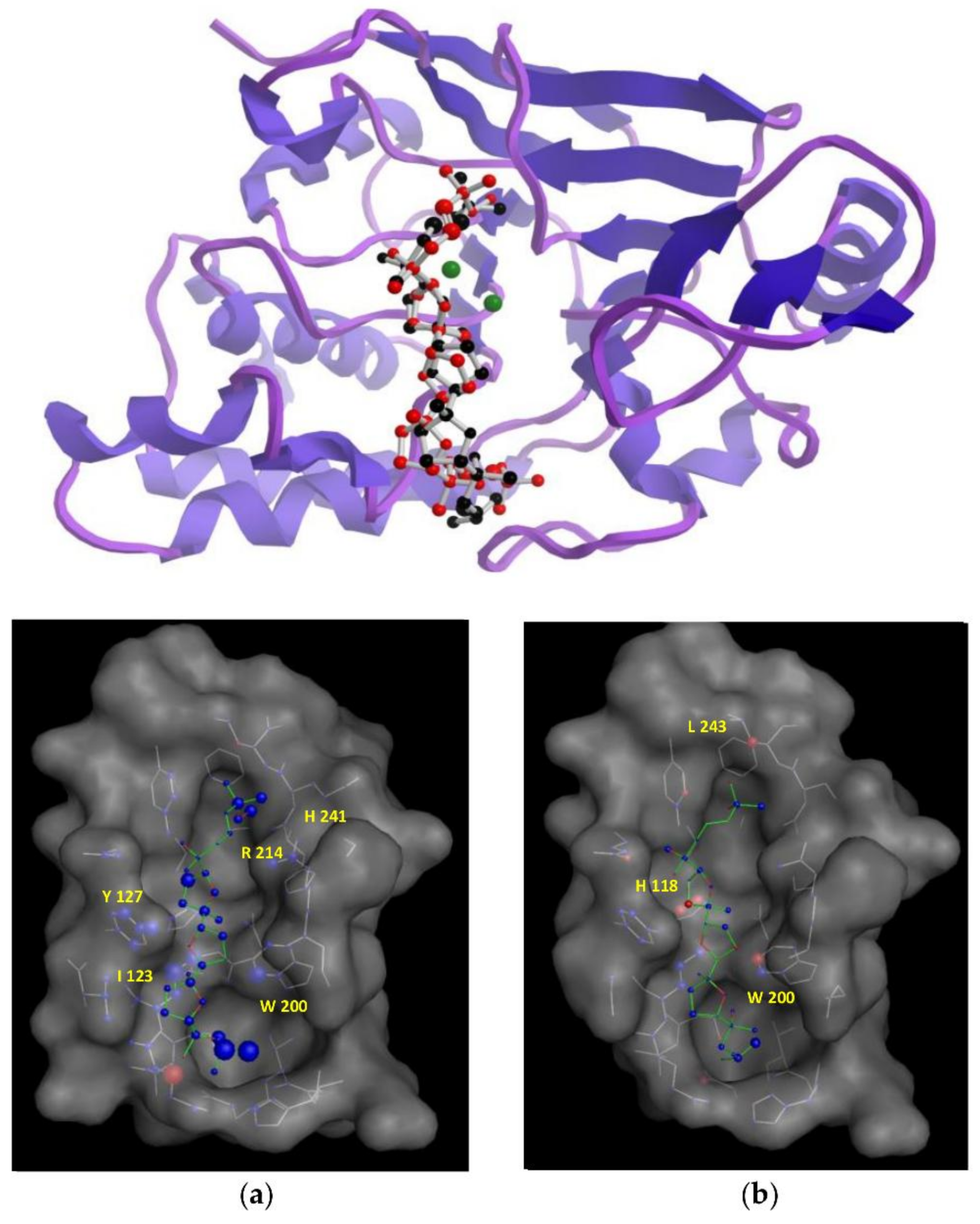 Marinedrugs 16 00131 g004