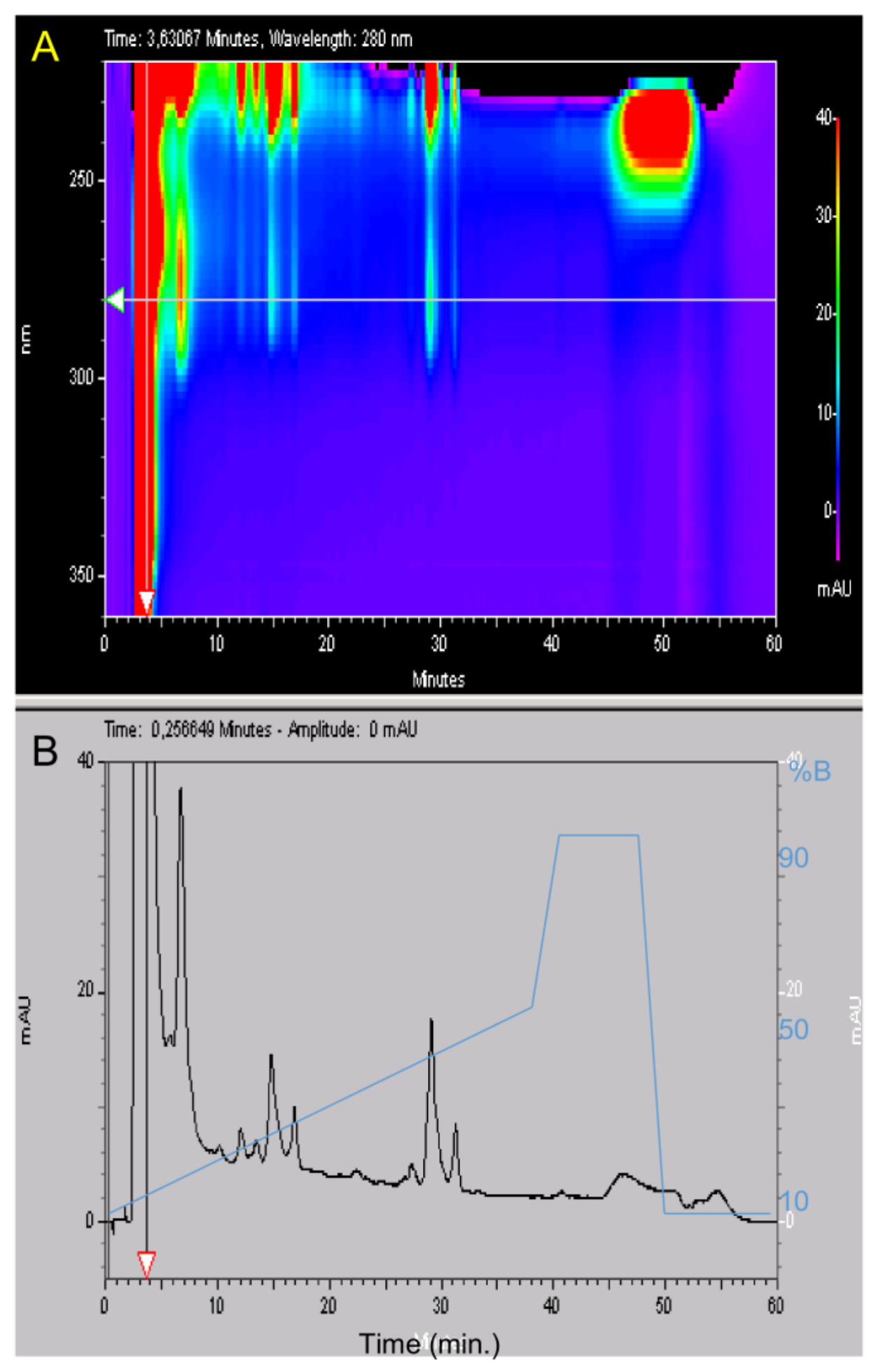 Marinedrugs 16 00134 g001 550