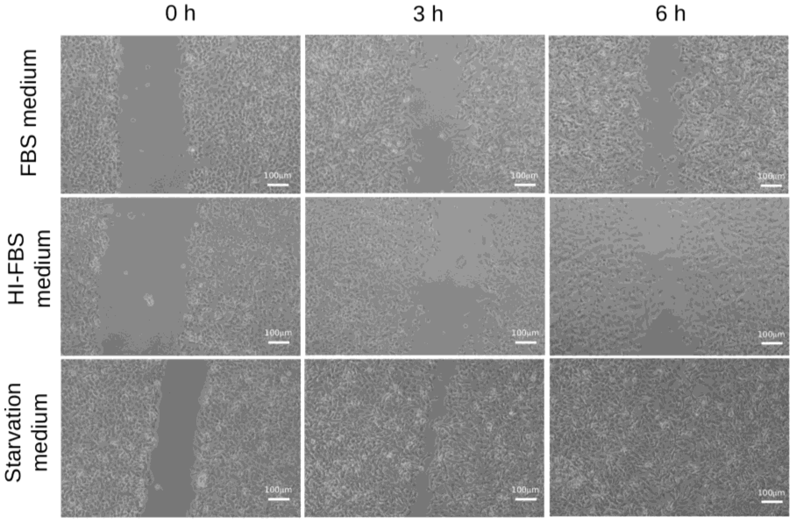 Marinedrugs 16 00137 g002 Marinedrugs 16 00137 g002