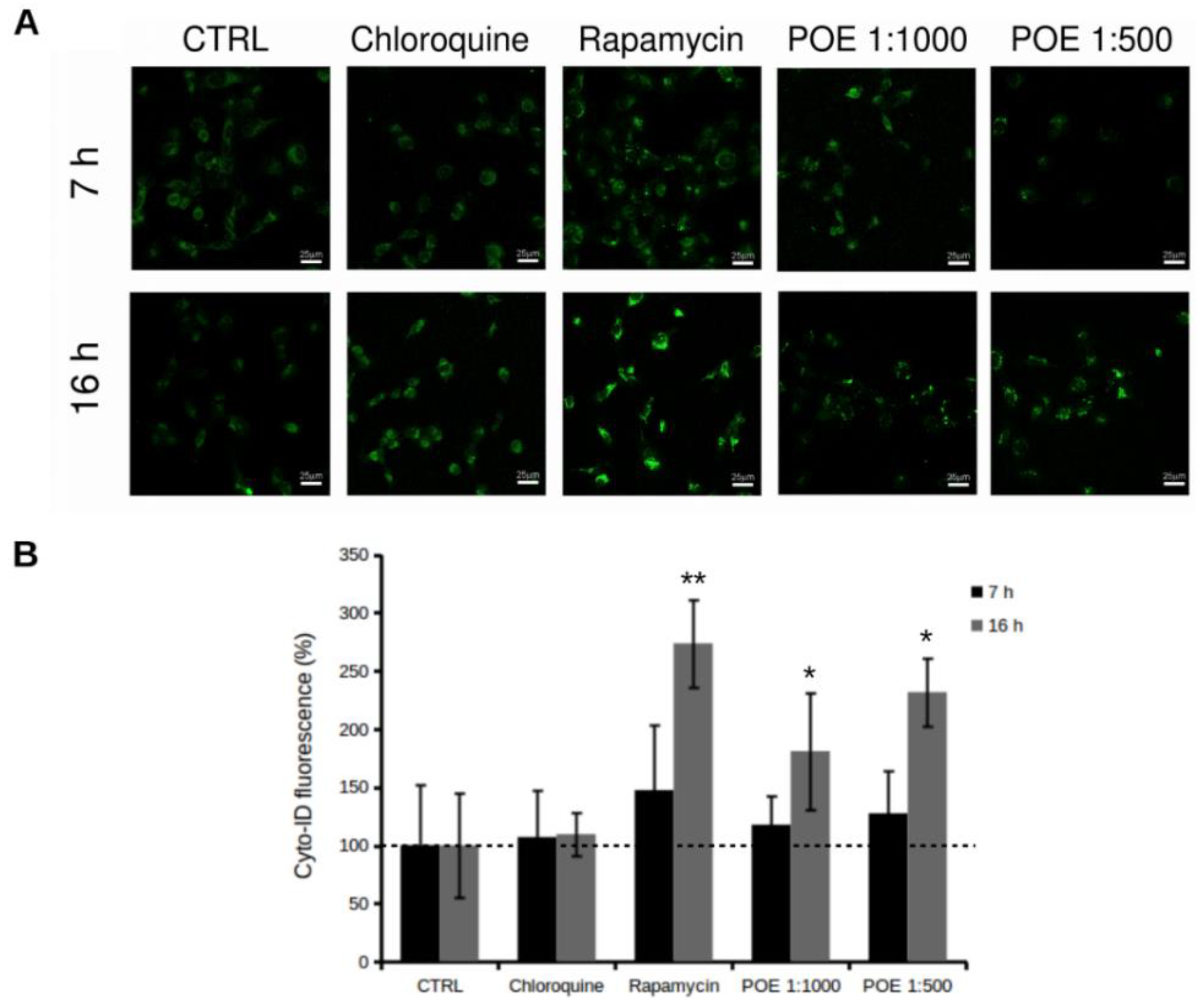 Marinedrugs 16 00137 g004 Marinedrugs 16 00137 g004