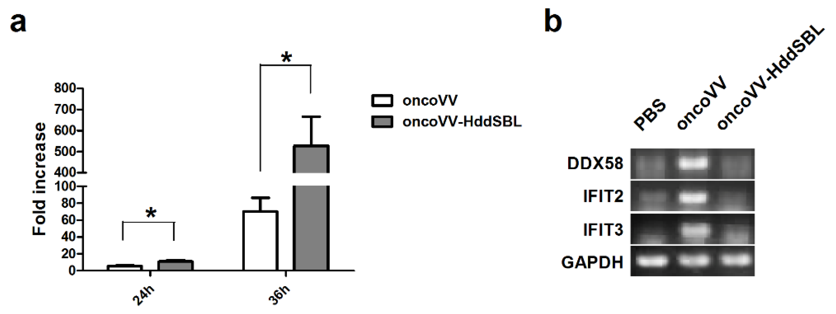 Marinedrugs 16 00141 g005