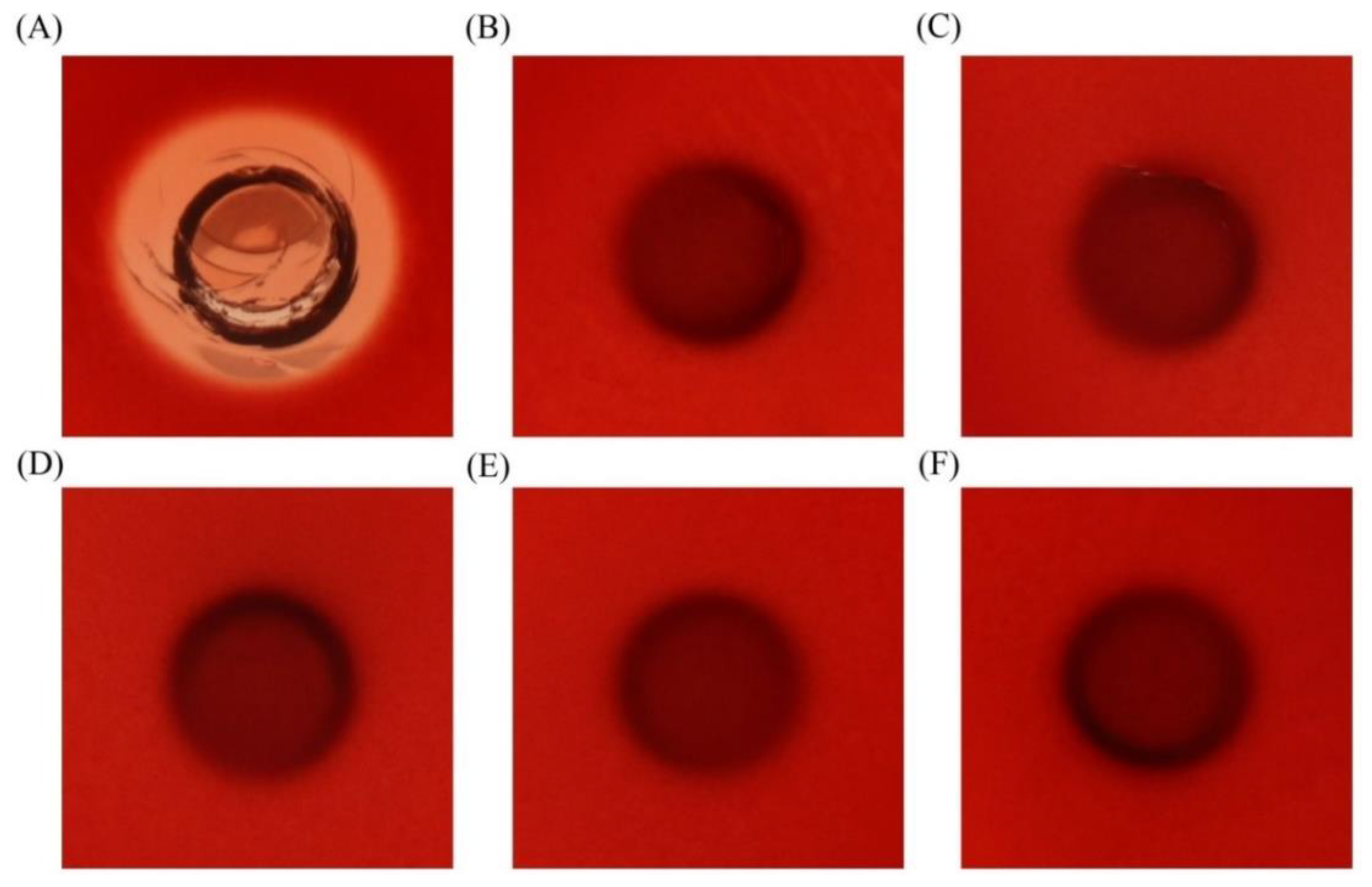 Marinedrugs 16 00145 g007