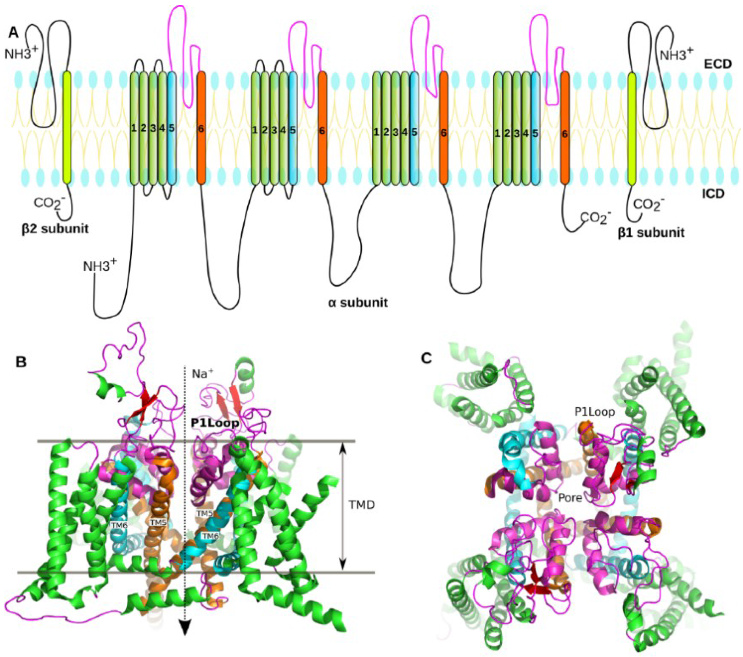 Marinedrugs 16 00153 g001 550