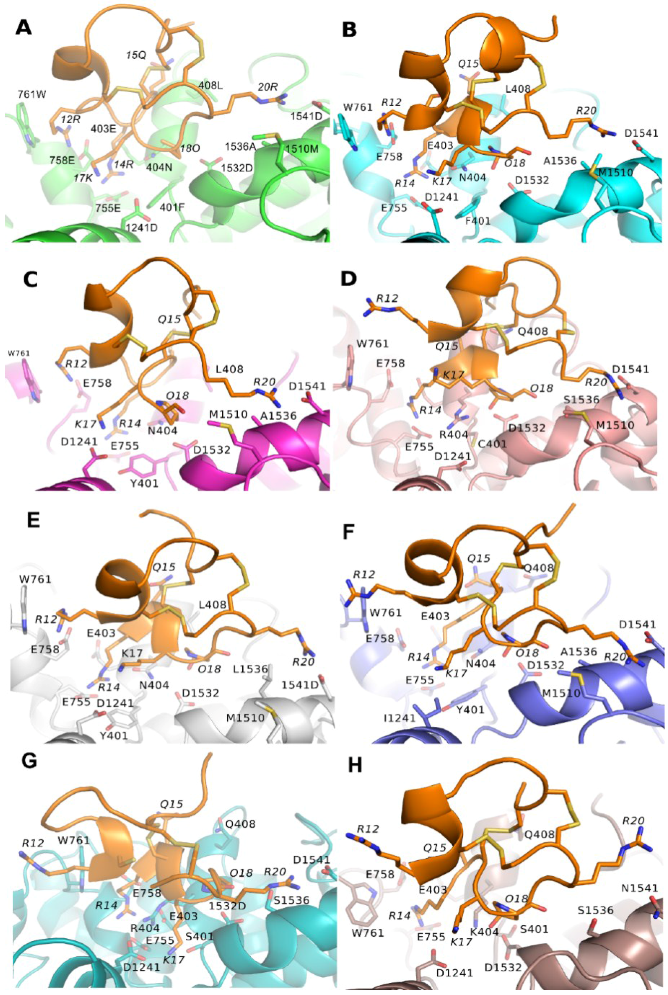 Marinedrugs 16 00153 g005 550