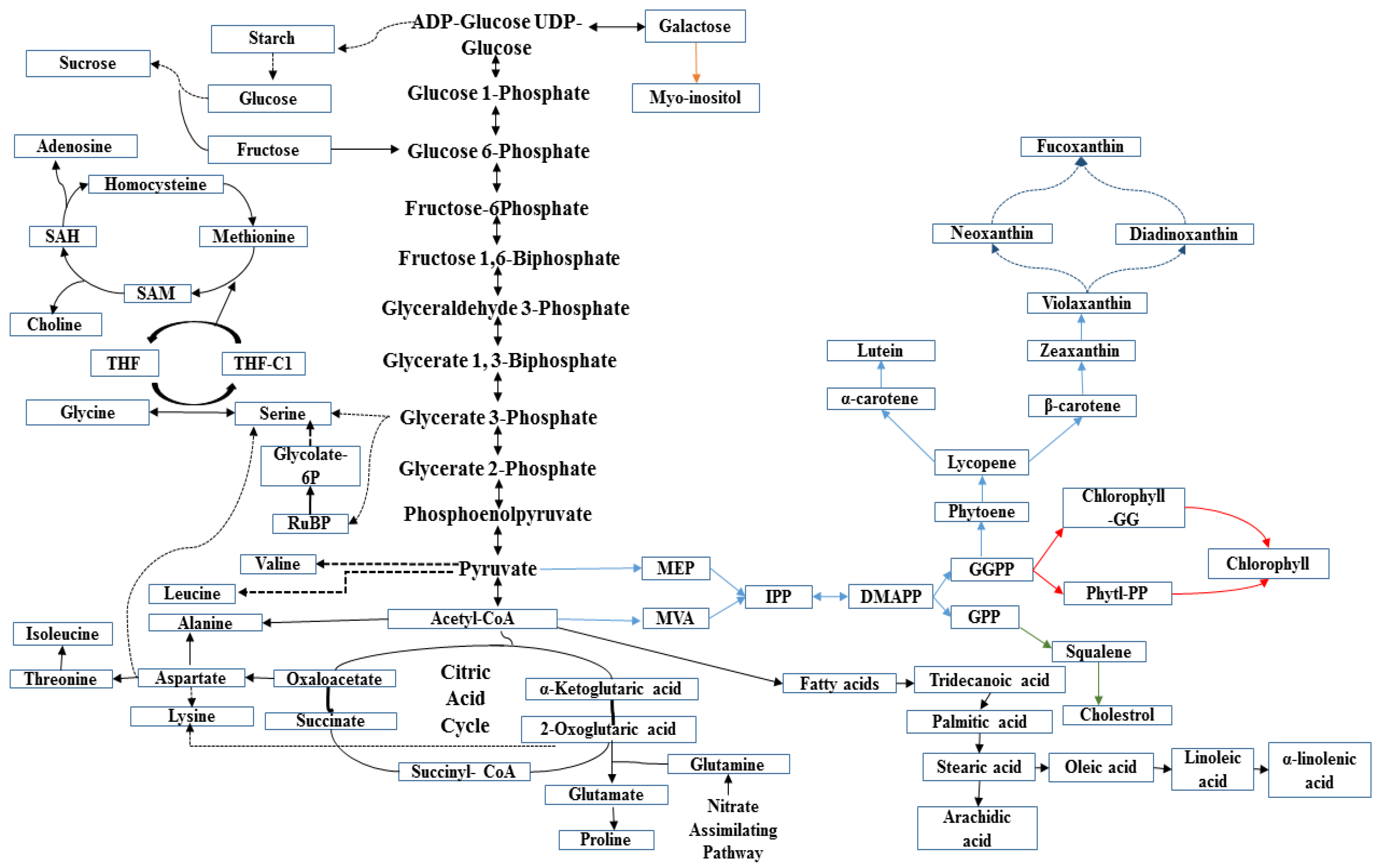 Marinedrugs 16 00154 g006 550