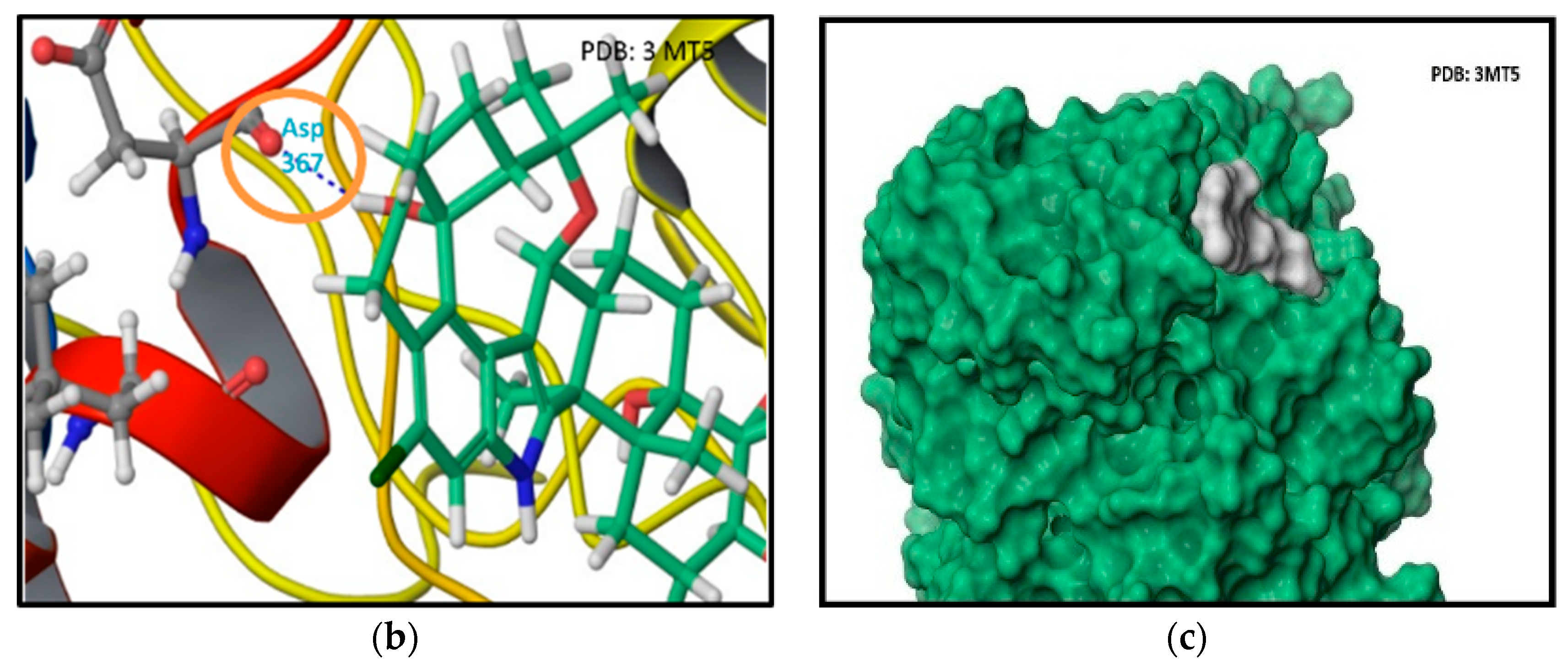 Marinedrugs 16 00157 g002b 550