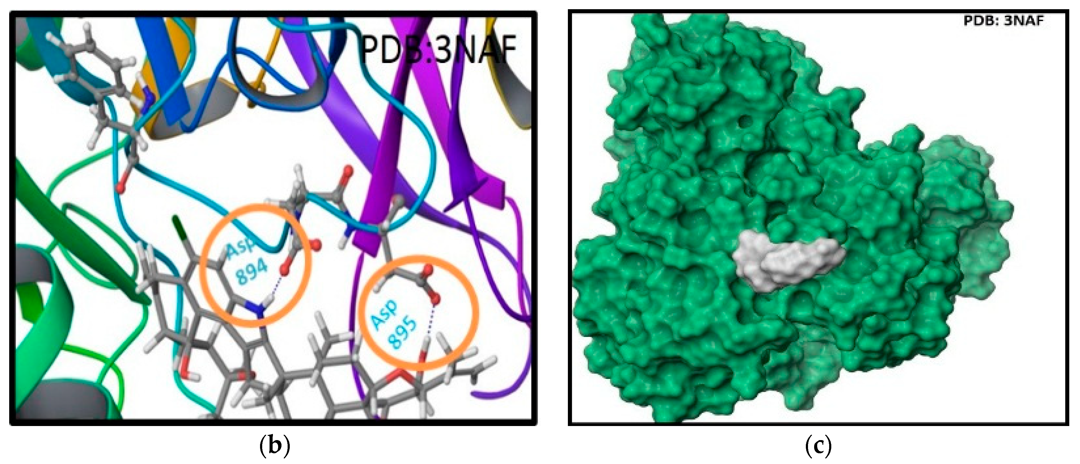 Marinedrugs 16 00157 g004b 550